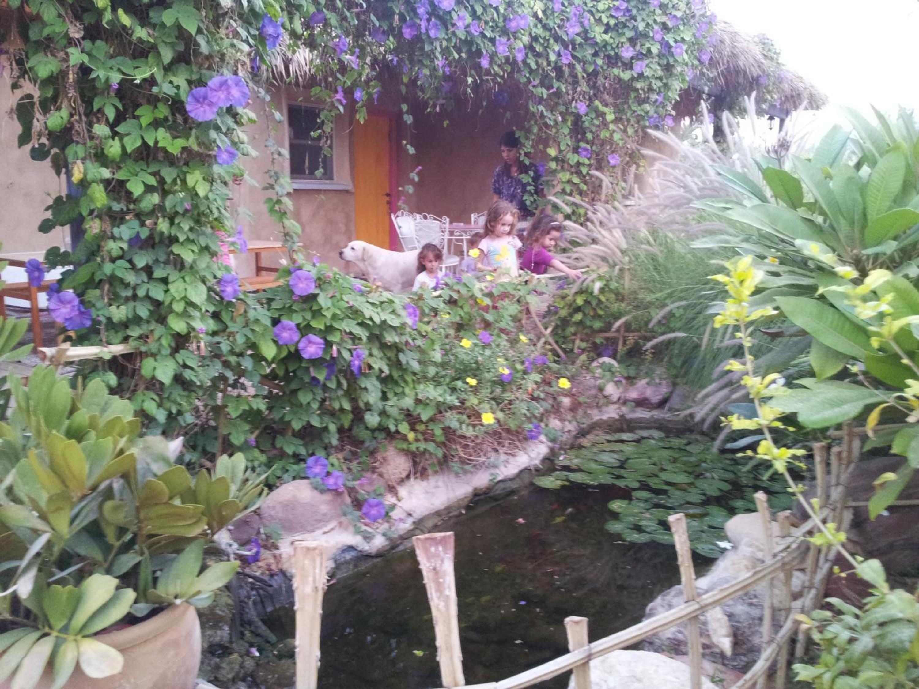 Photo 38