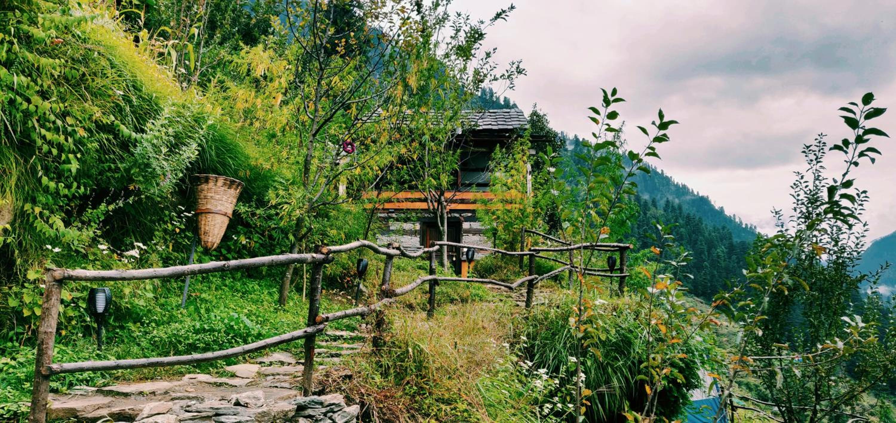 Photo 45