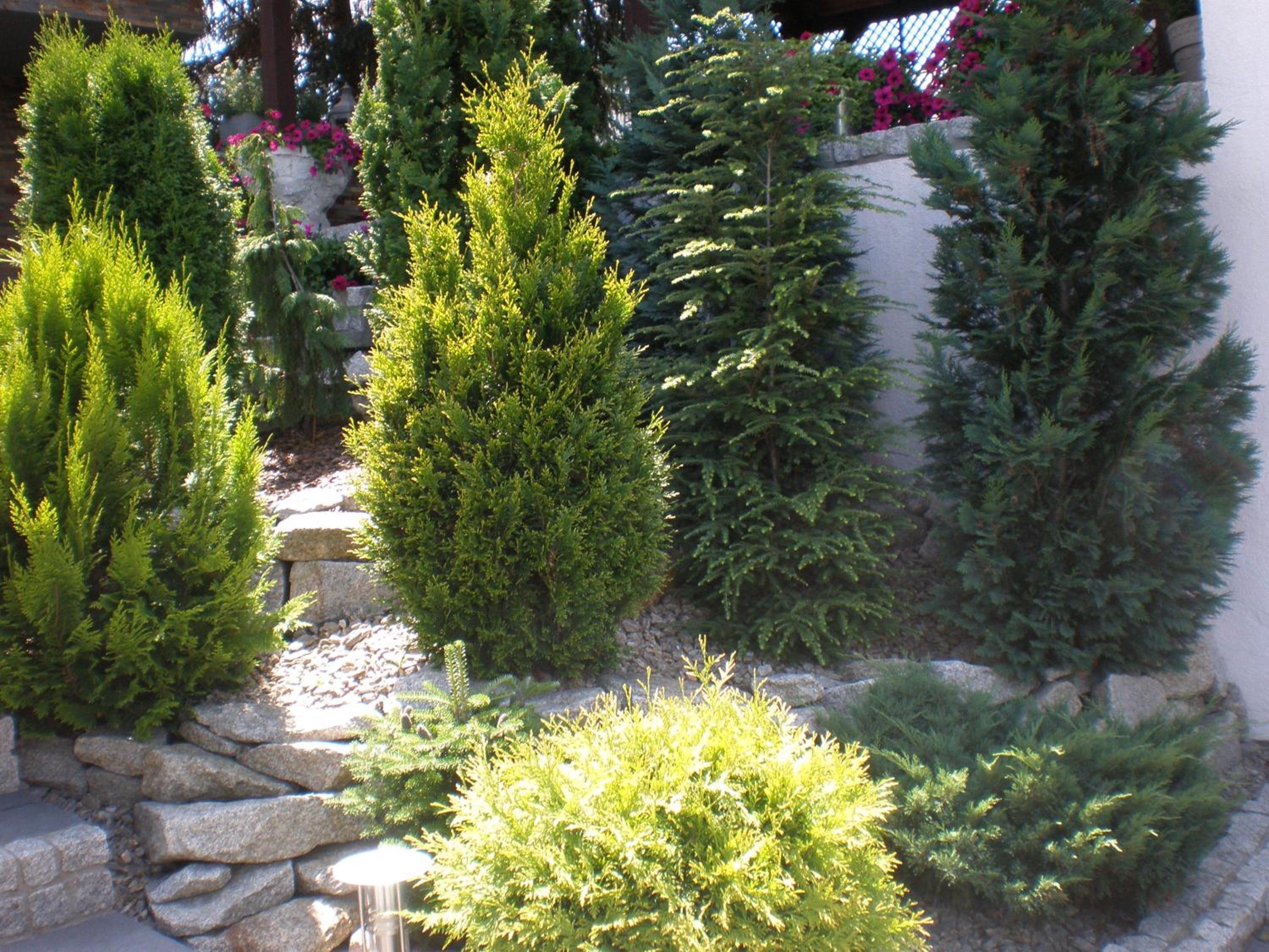 Photo 30