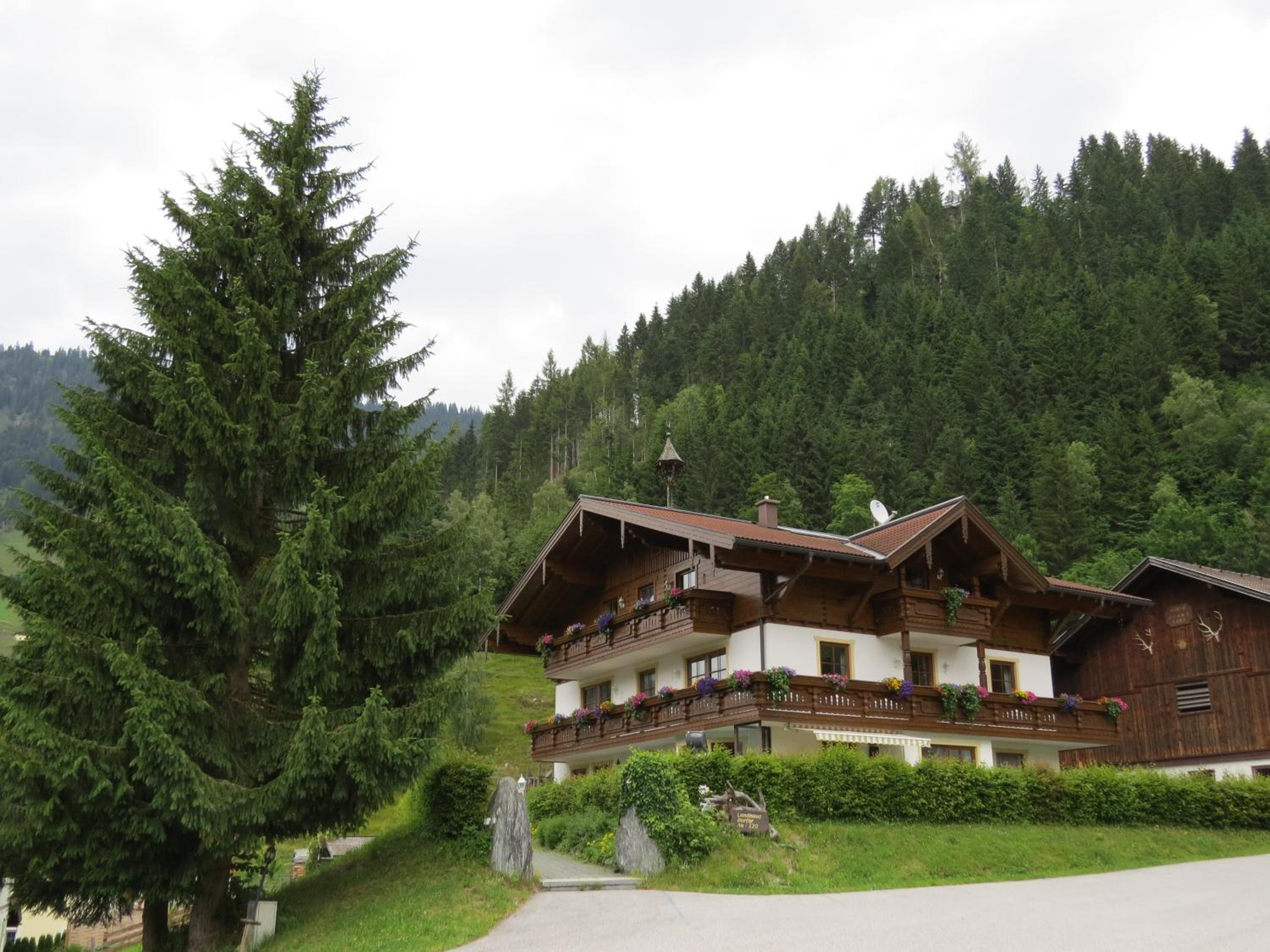 Landhaus Dorfer view 2