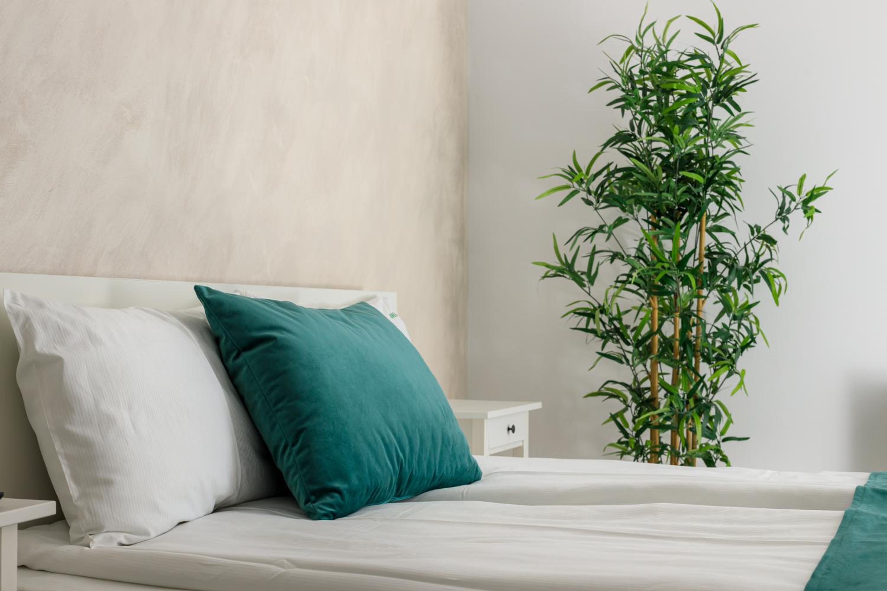 Brasov Holiday Apartments