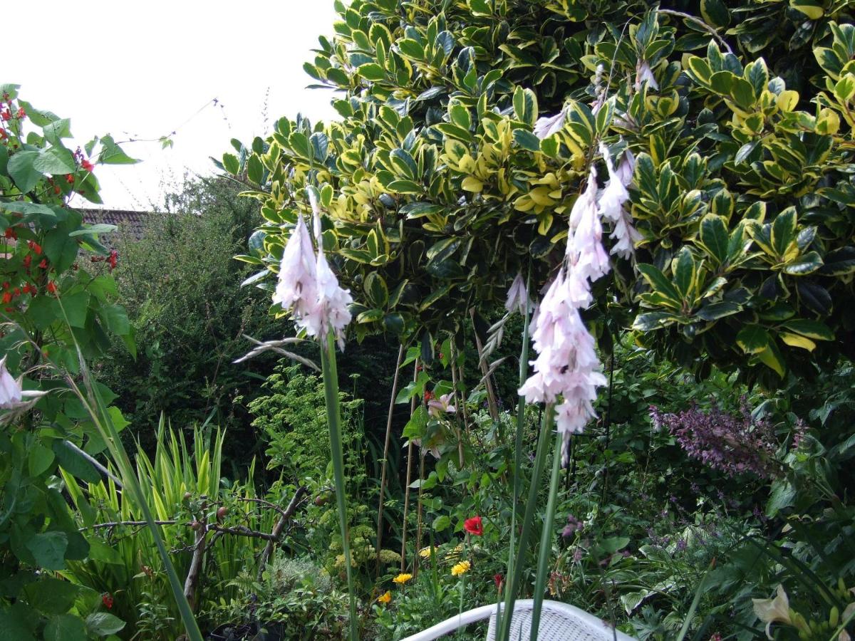 Photo 22