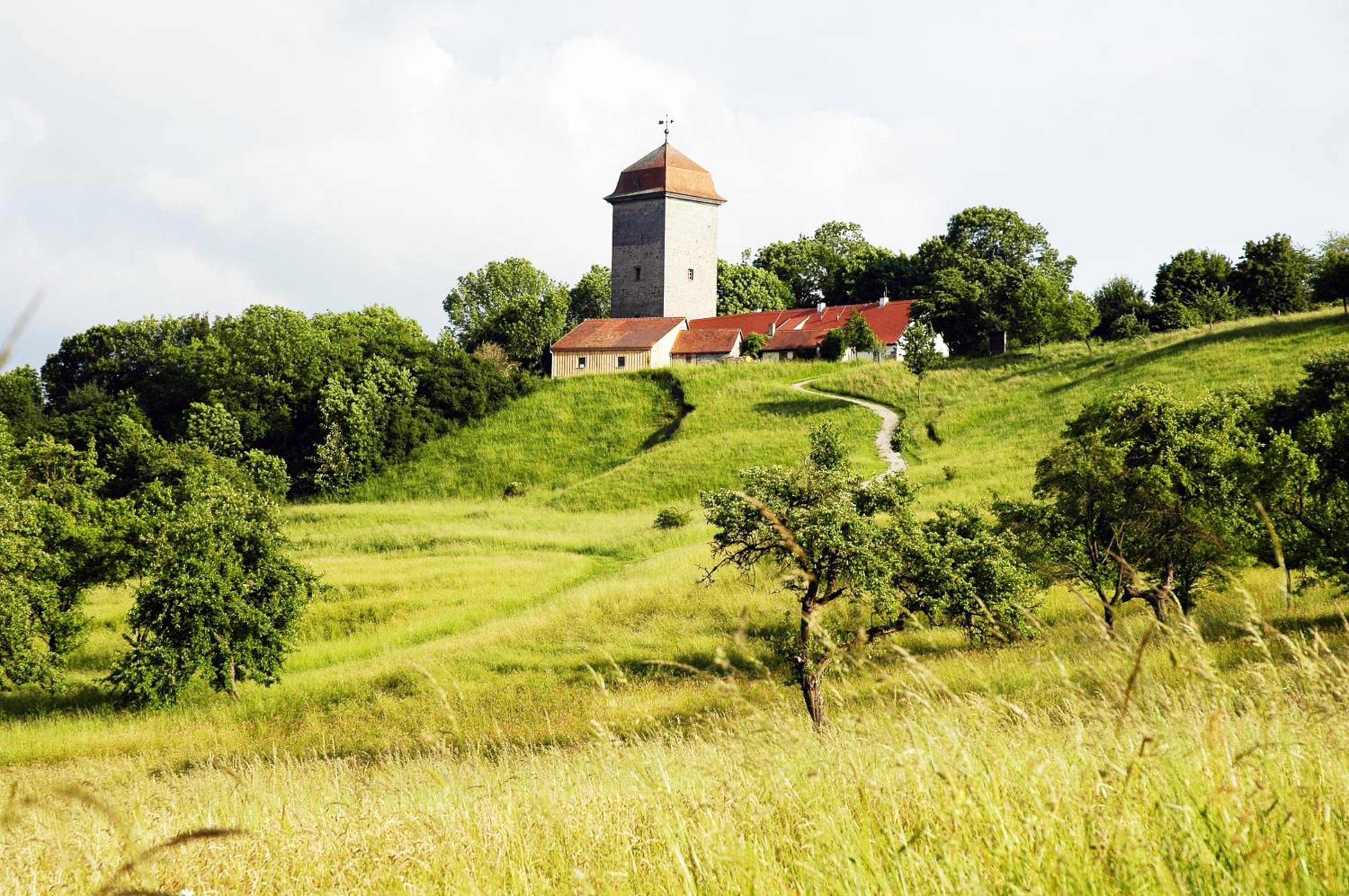 Photo 23