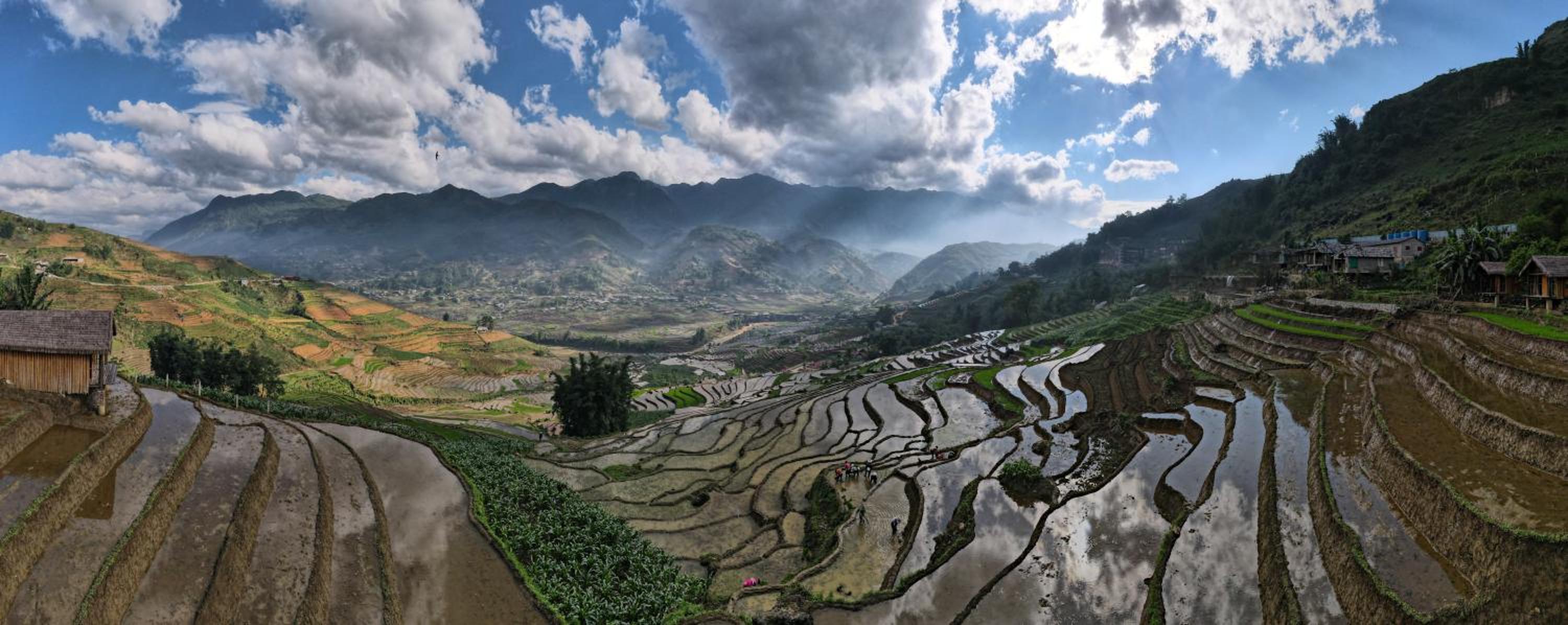 Eco Palms House - Sapa Retreat