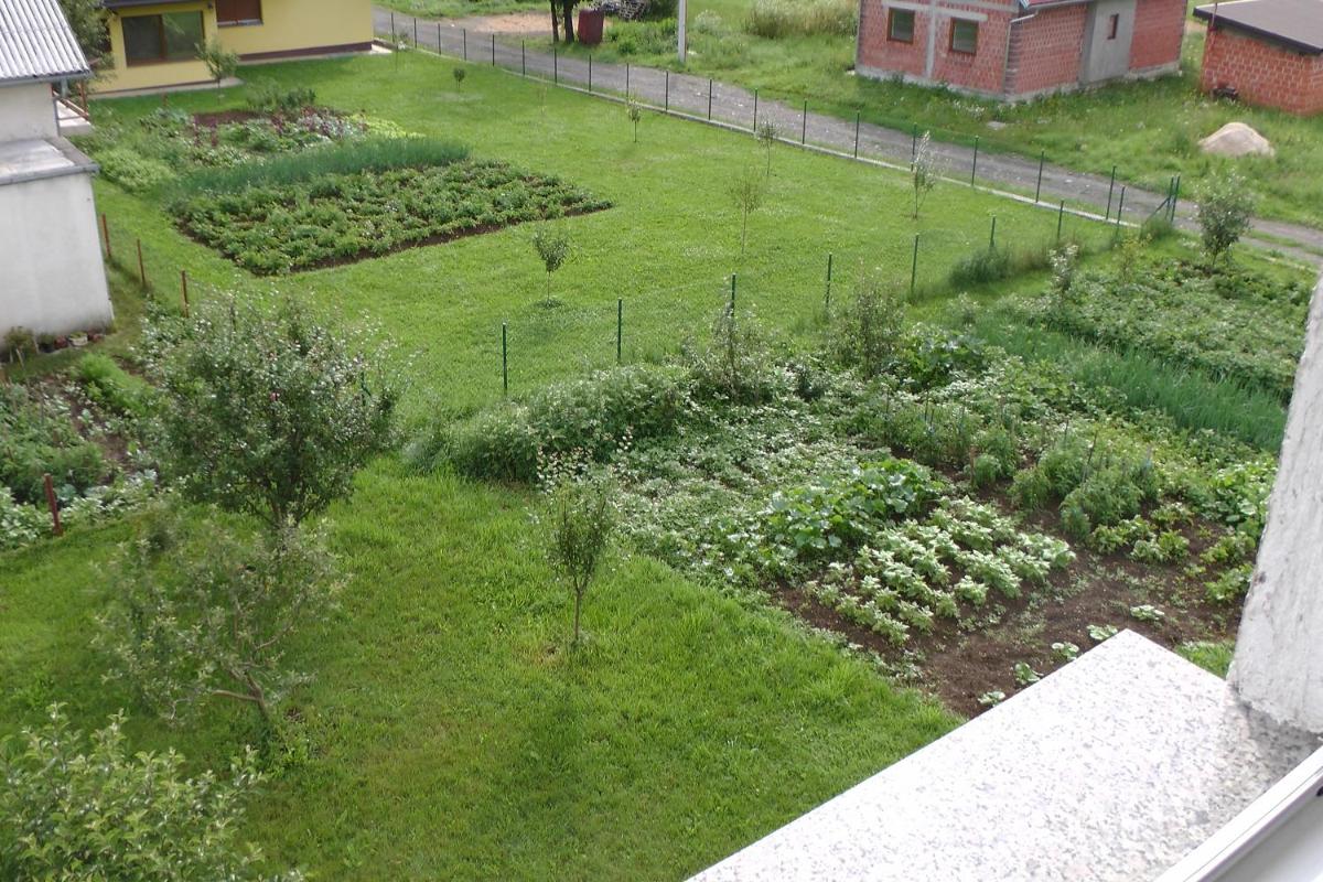 Photo 20