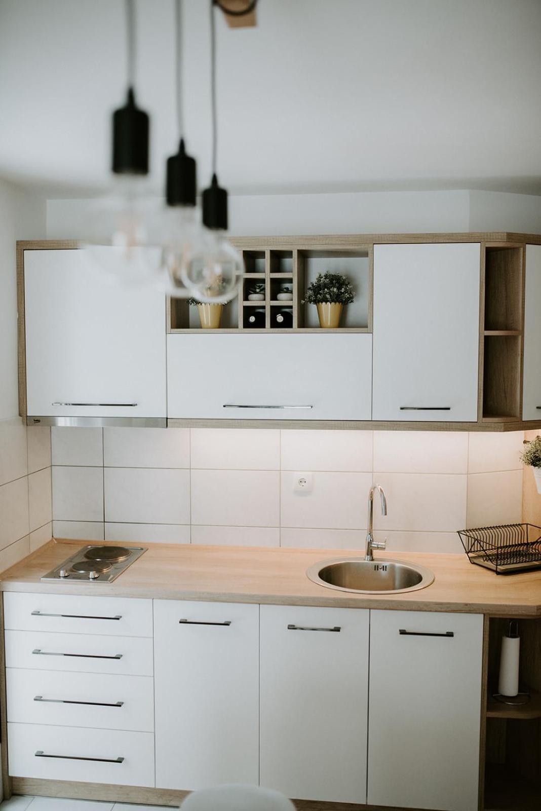 Apartman SREBRNA PAHULJA view 3