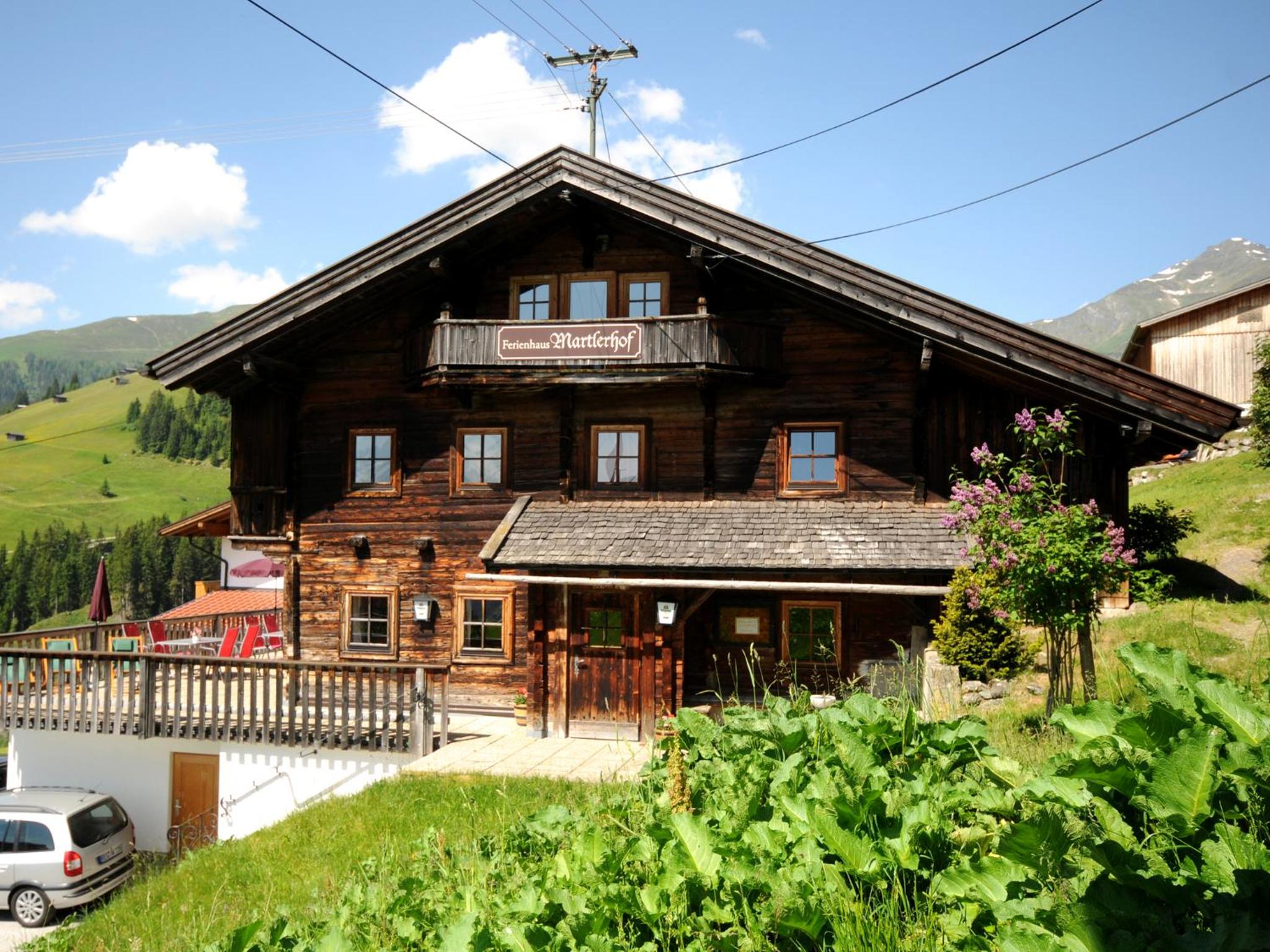 Single Apartment Martlerhof view 4