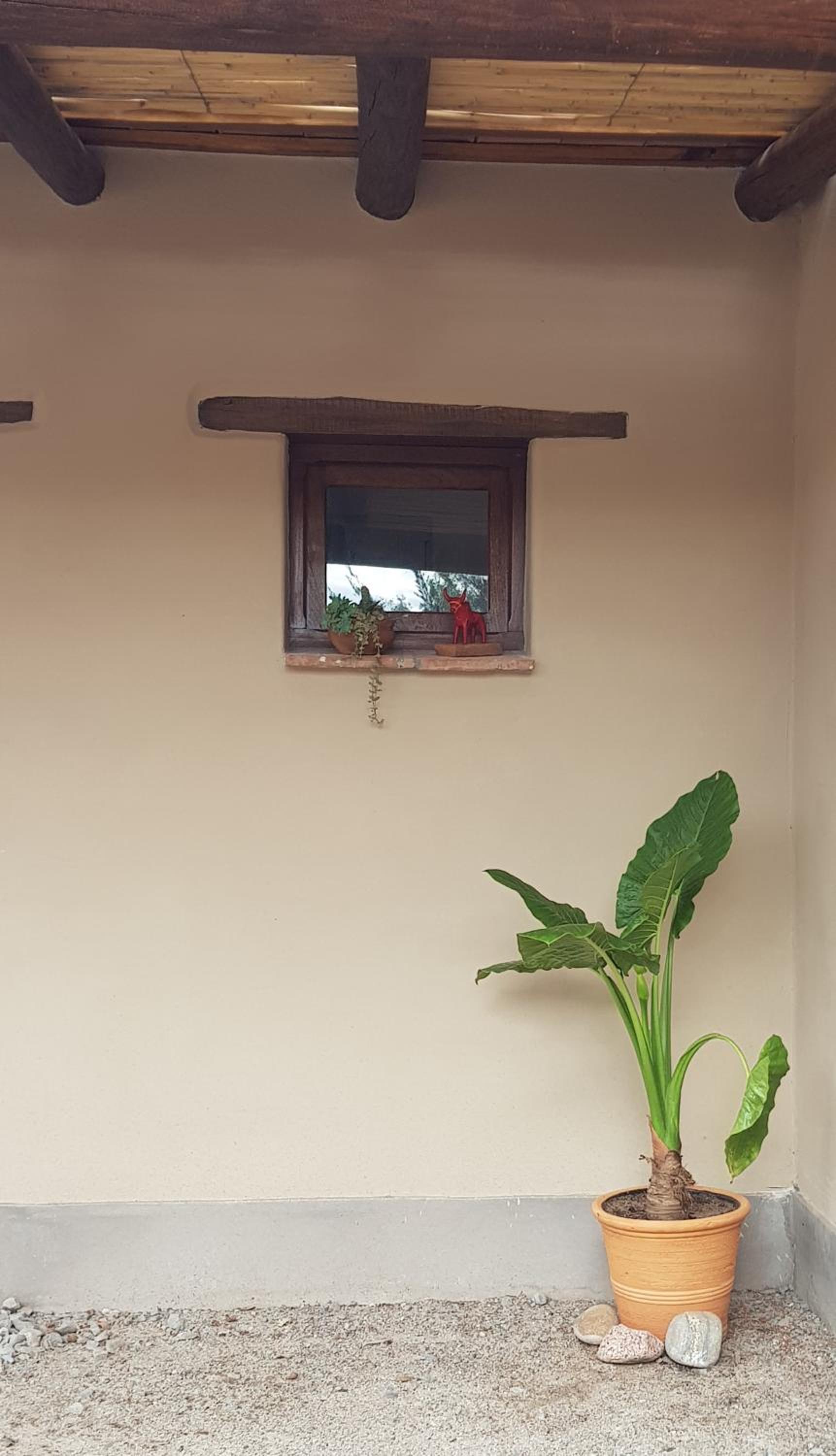 Terraza del Molle