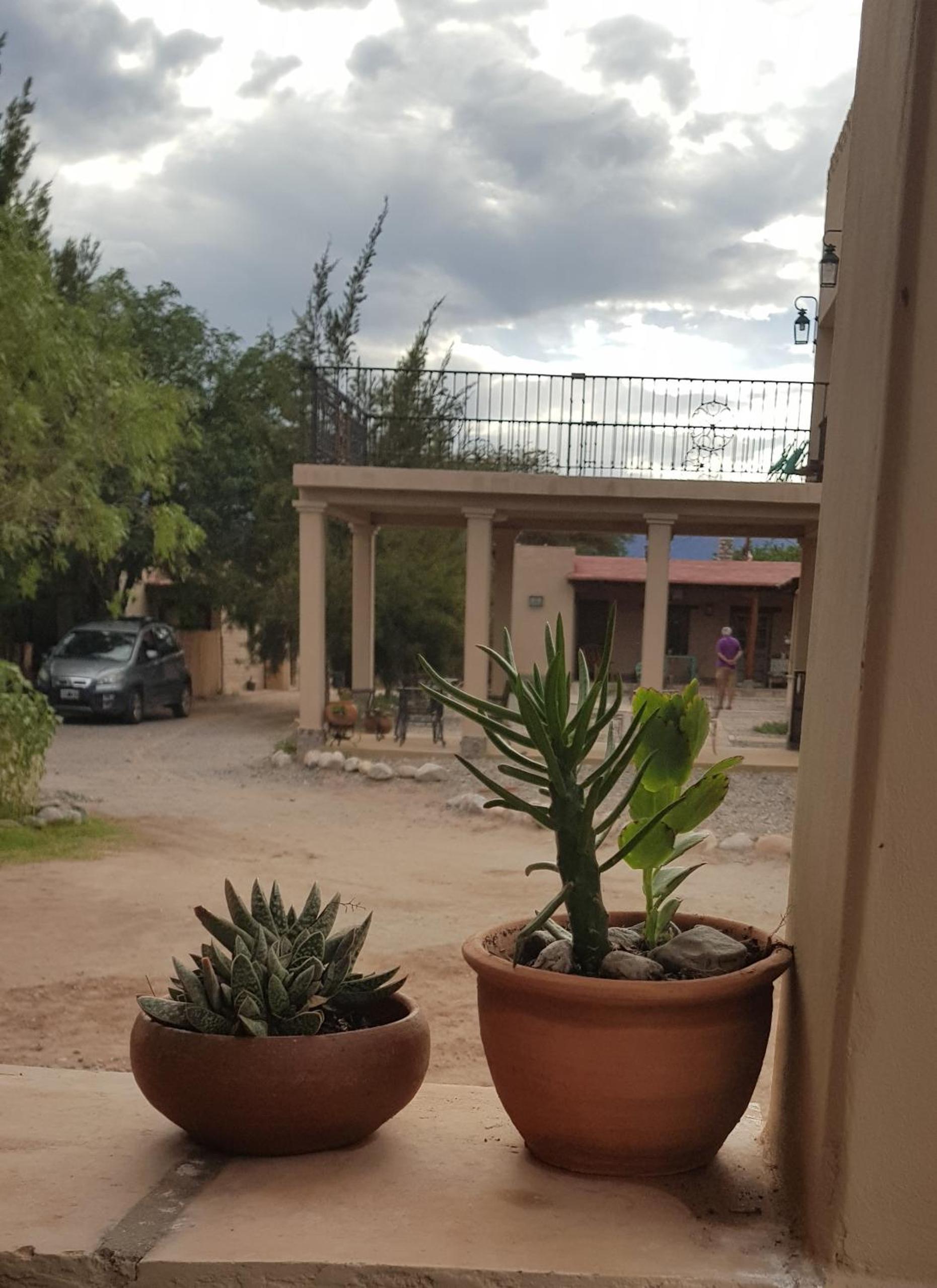 Terraza del Molle