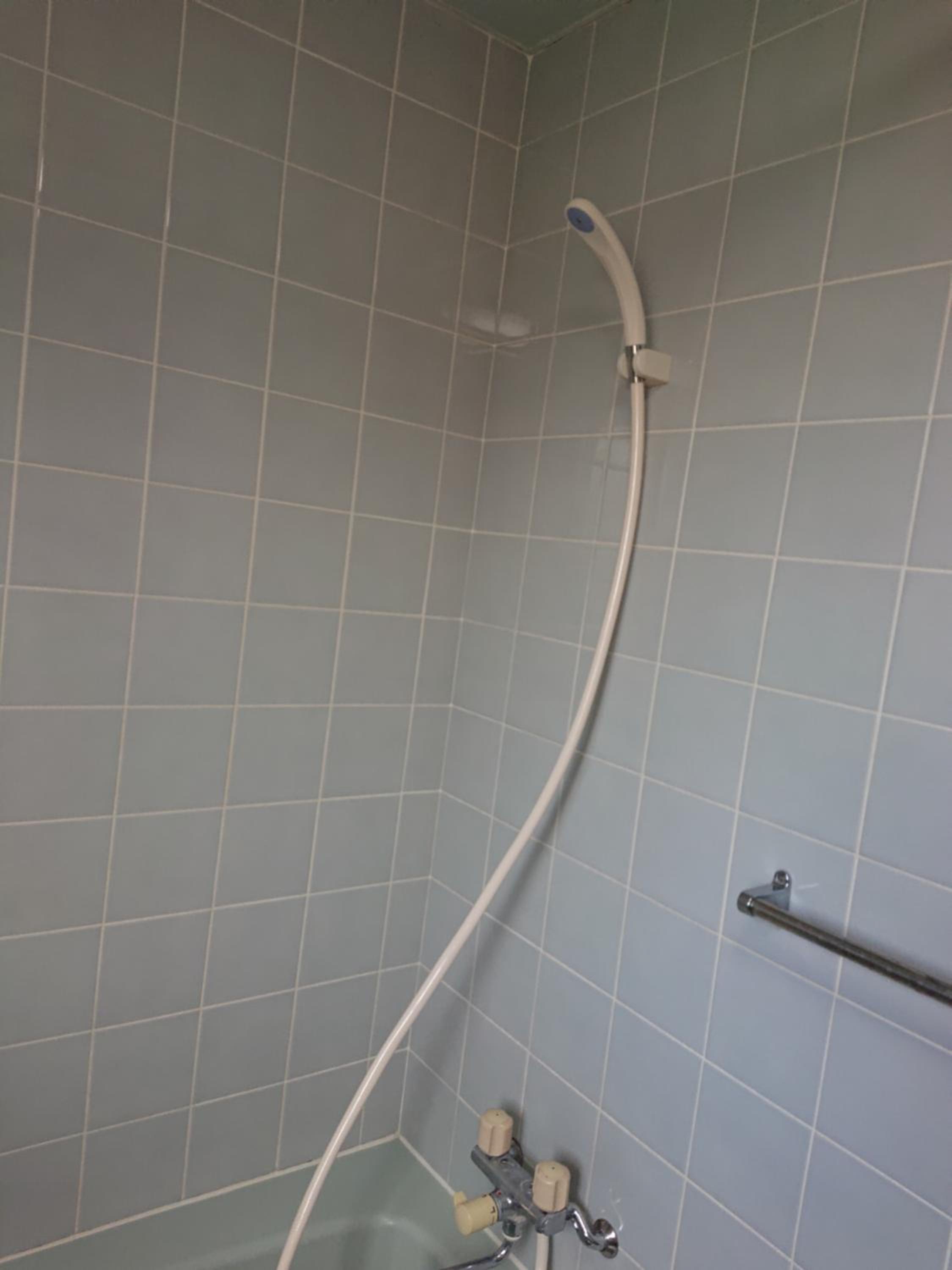 Photo 46