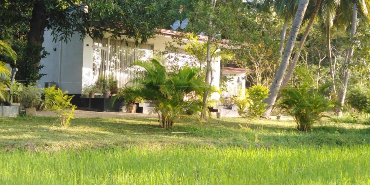 Photo 42