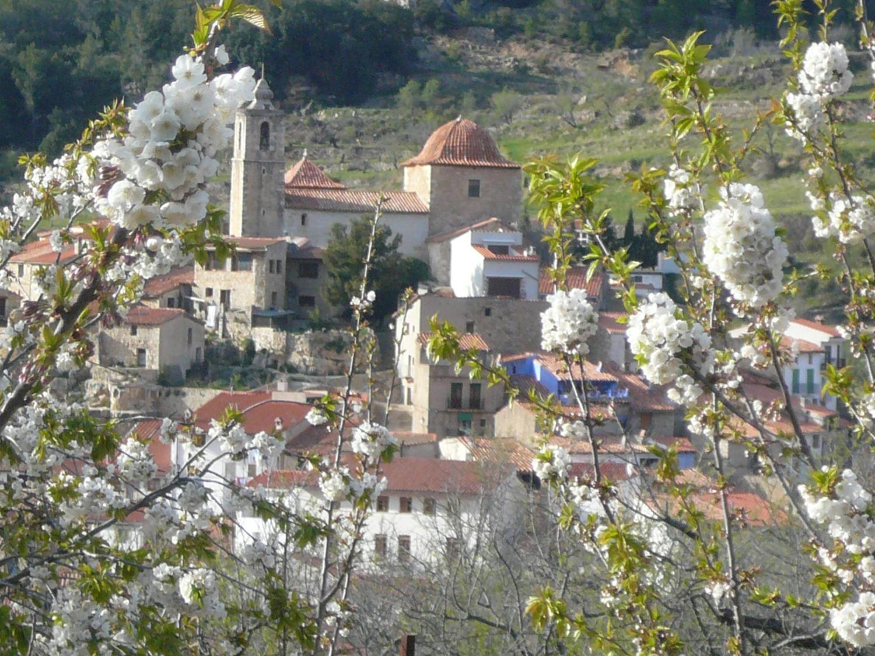 Casa Manolita view 4