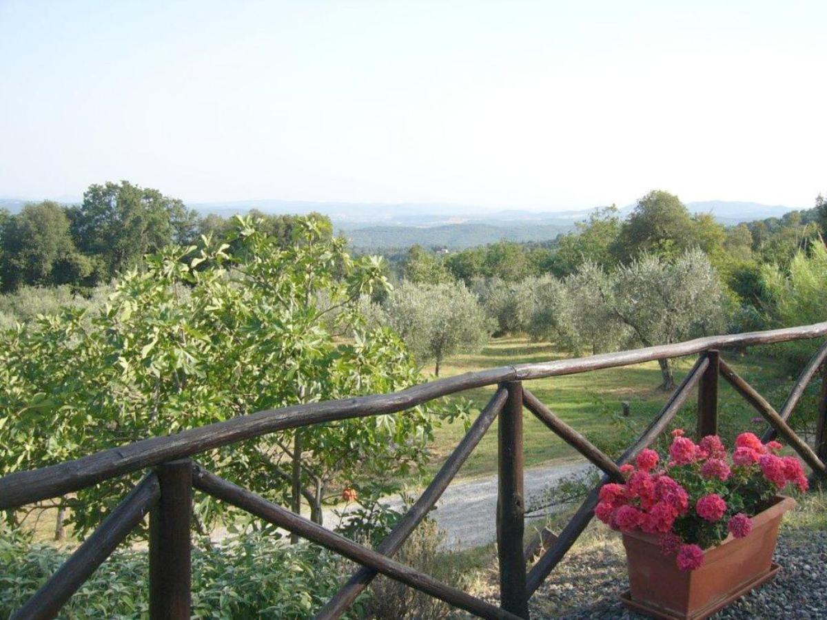 Splendid Relaxing Stay in the Tuscan countryside view 3