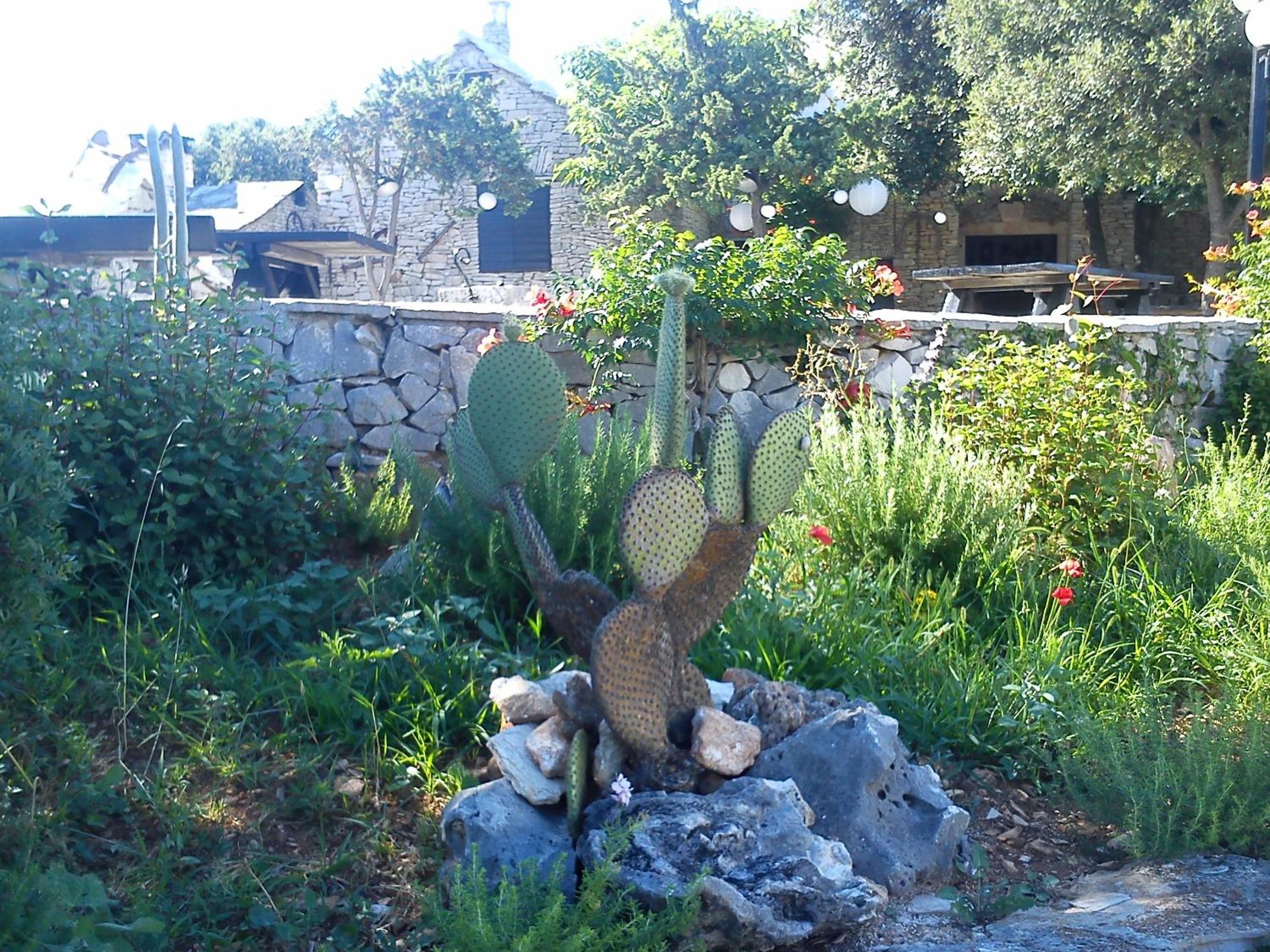 Photo 59