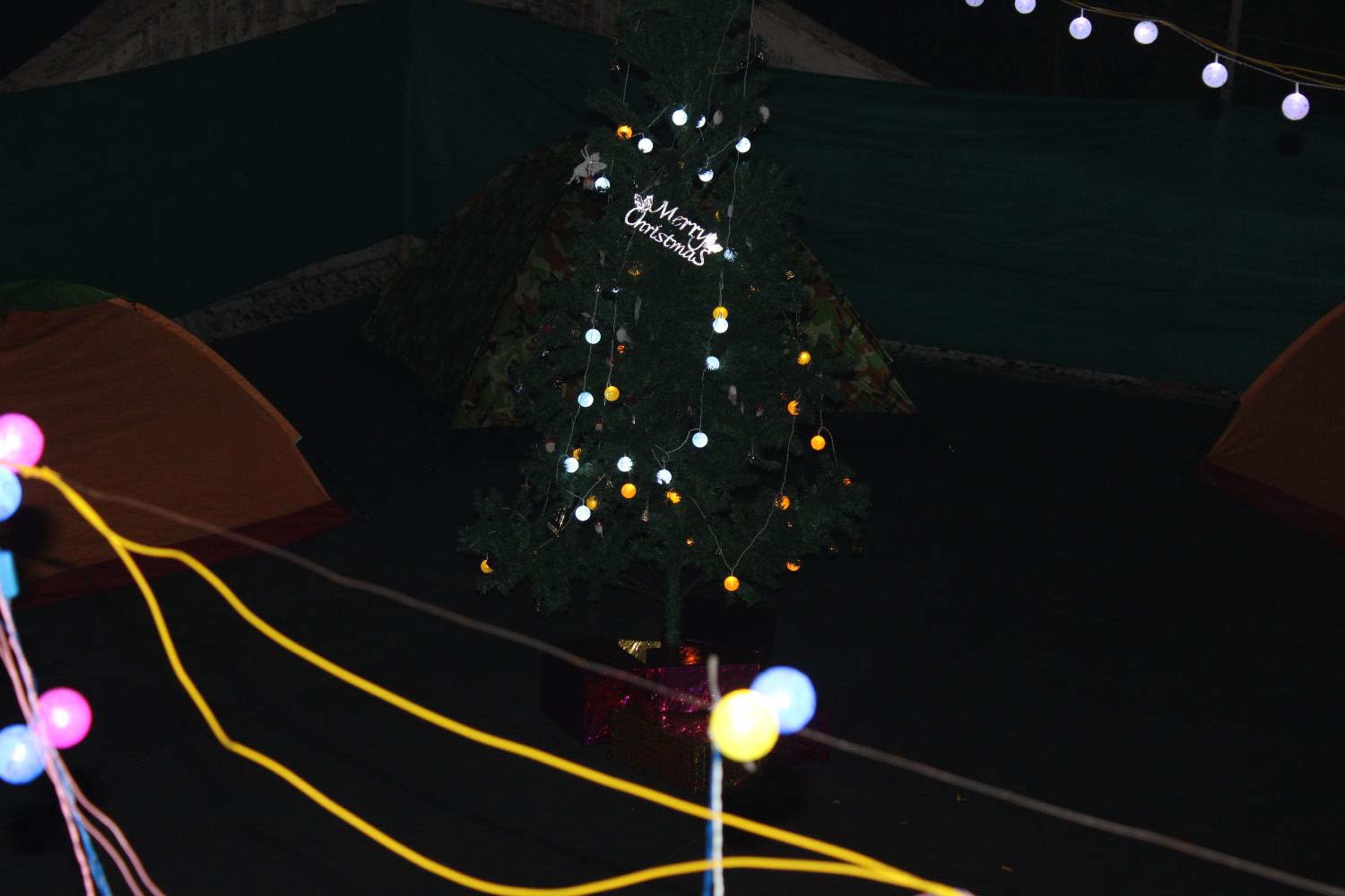 Photo 44