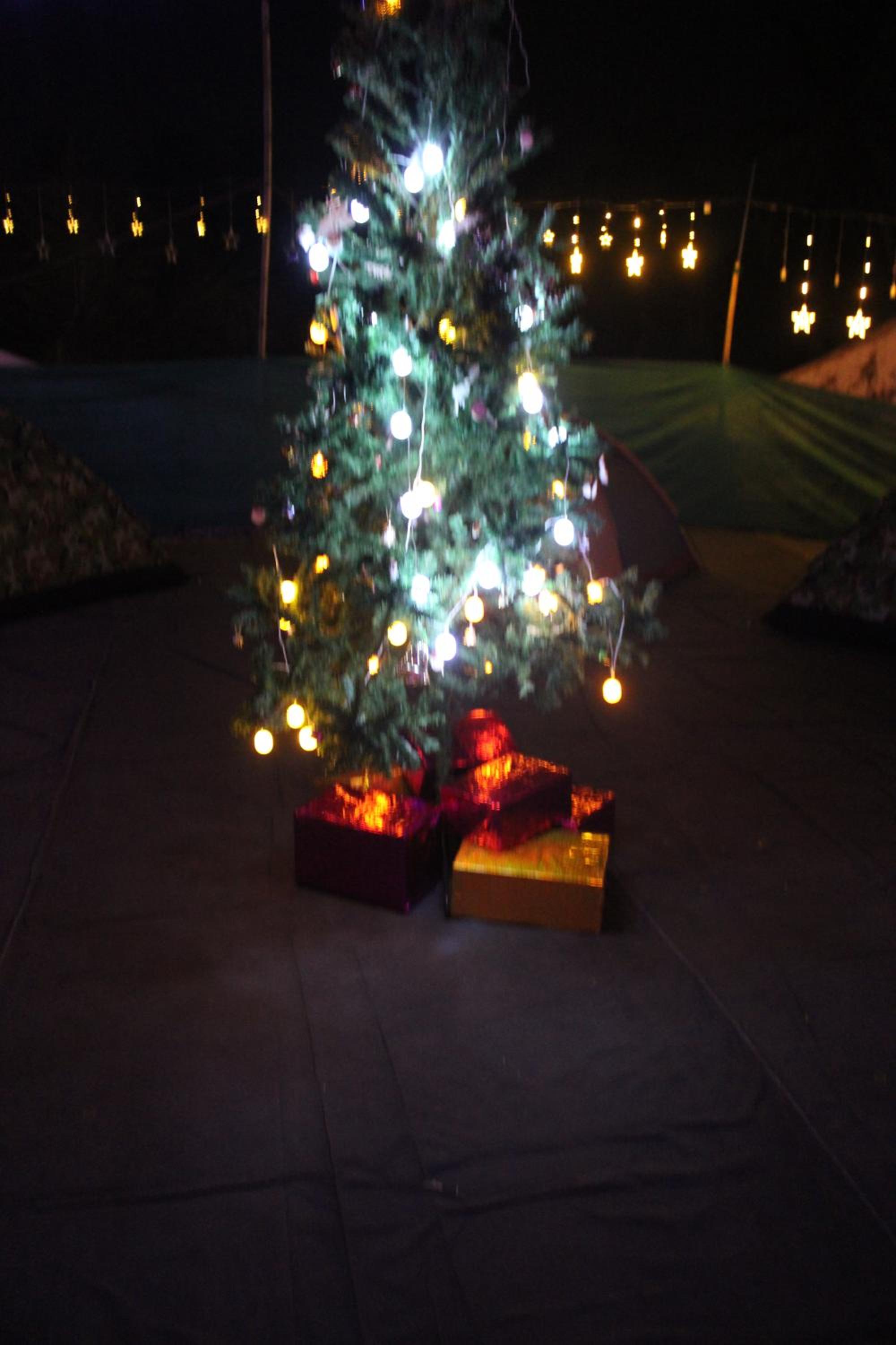 Photo 30