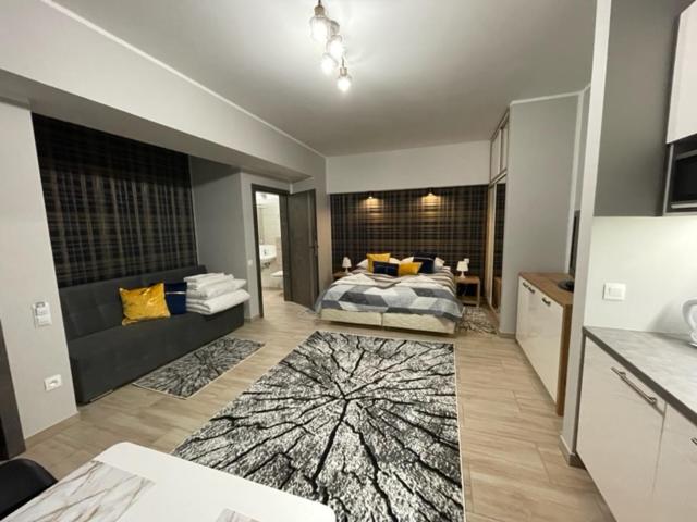 Matteo view 4