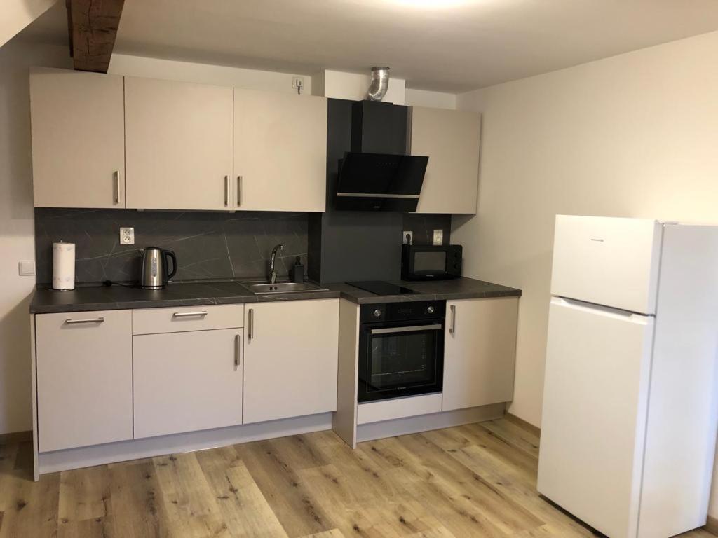 Apartmány Rudník Bolkov view 2