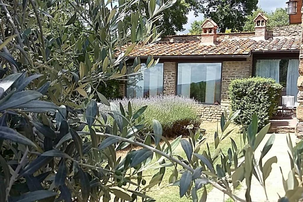 Villa Pianelli