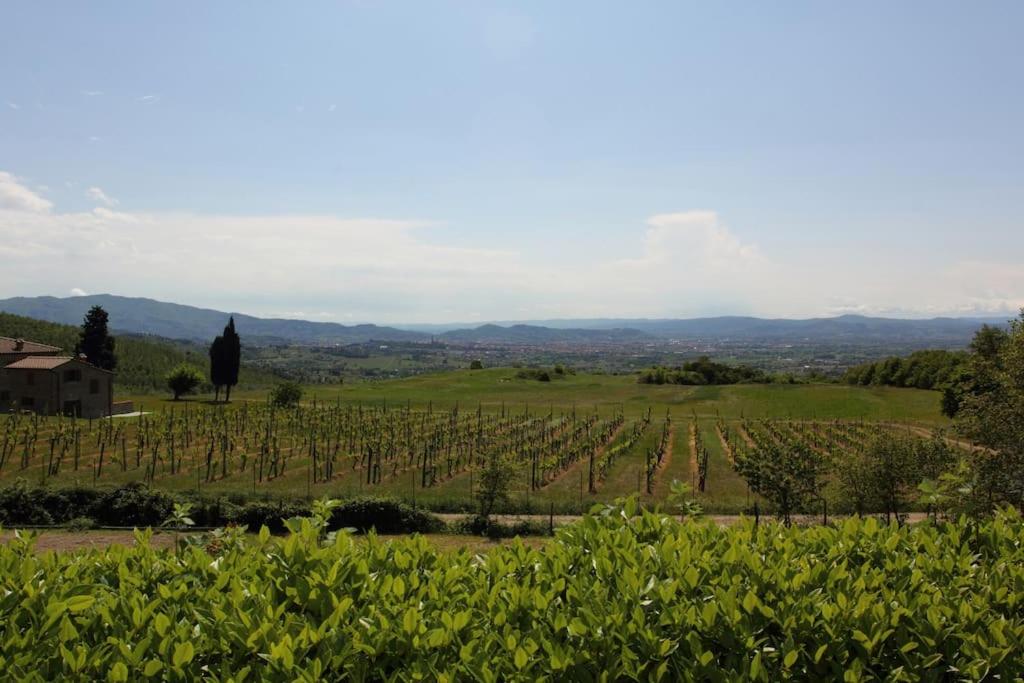 Villa Pianelli