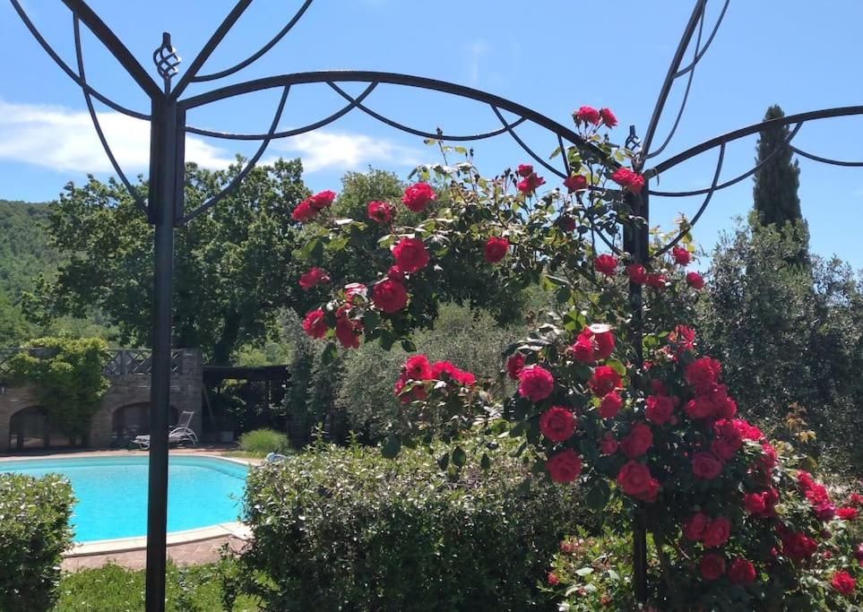 Villa Pianelli