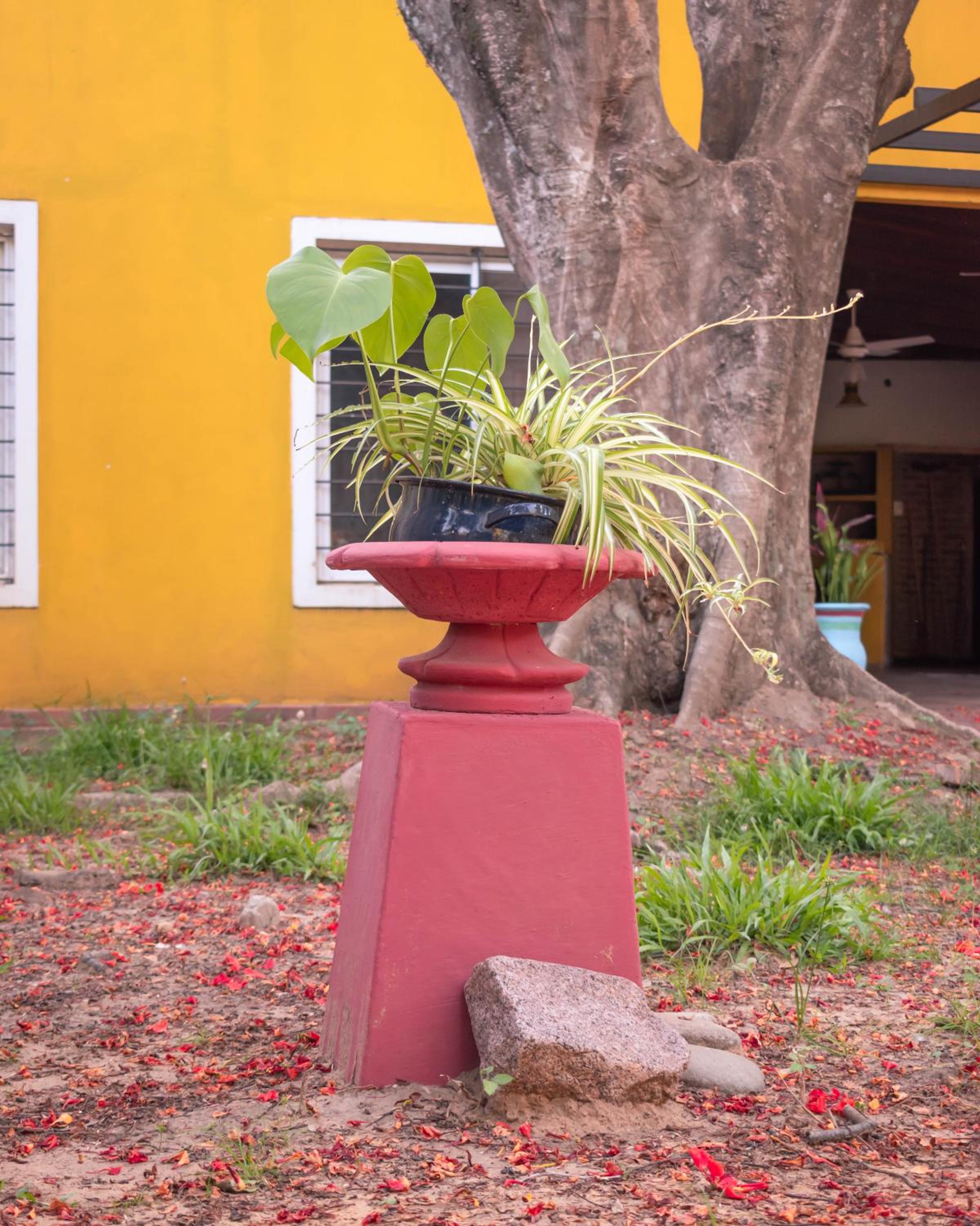 Casa Paso de la Patria