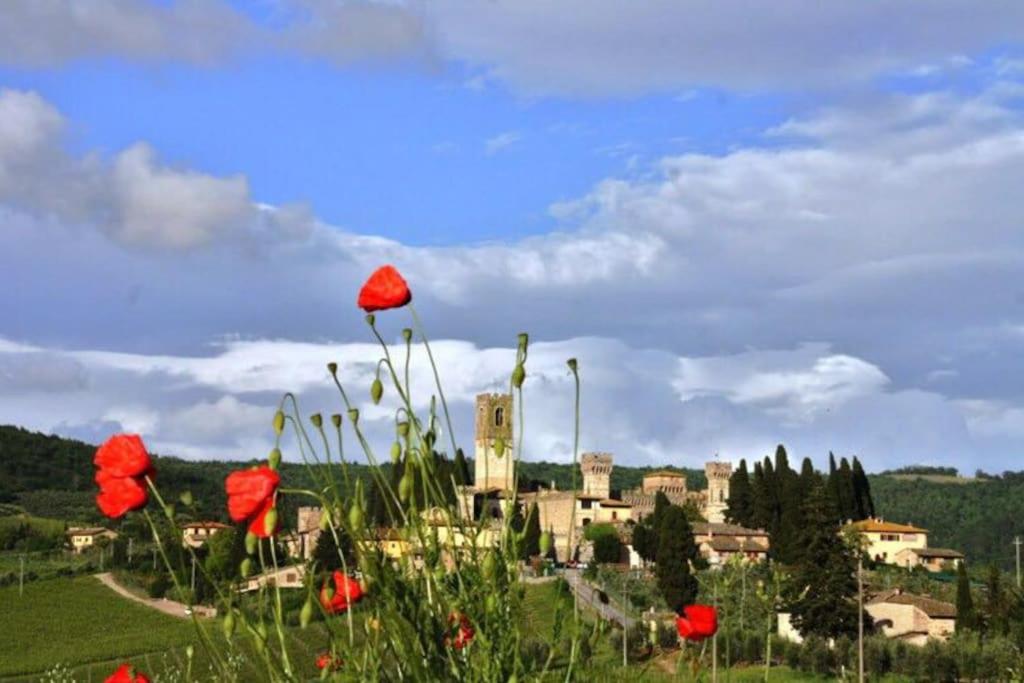 Il Fiorino di Badia view 3