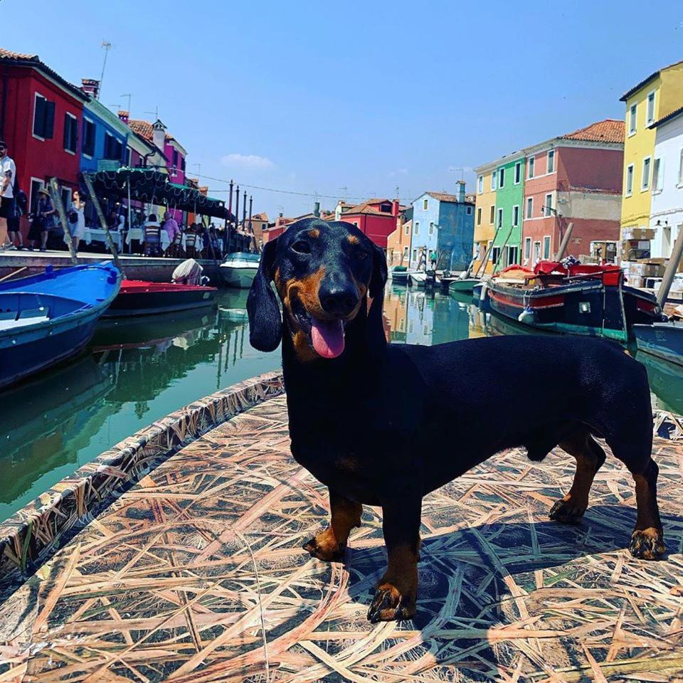 Venice Apartments San Samuele