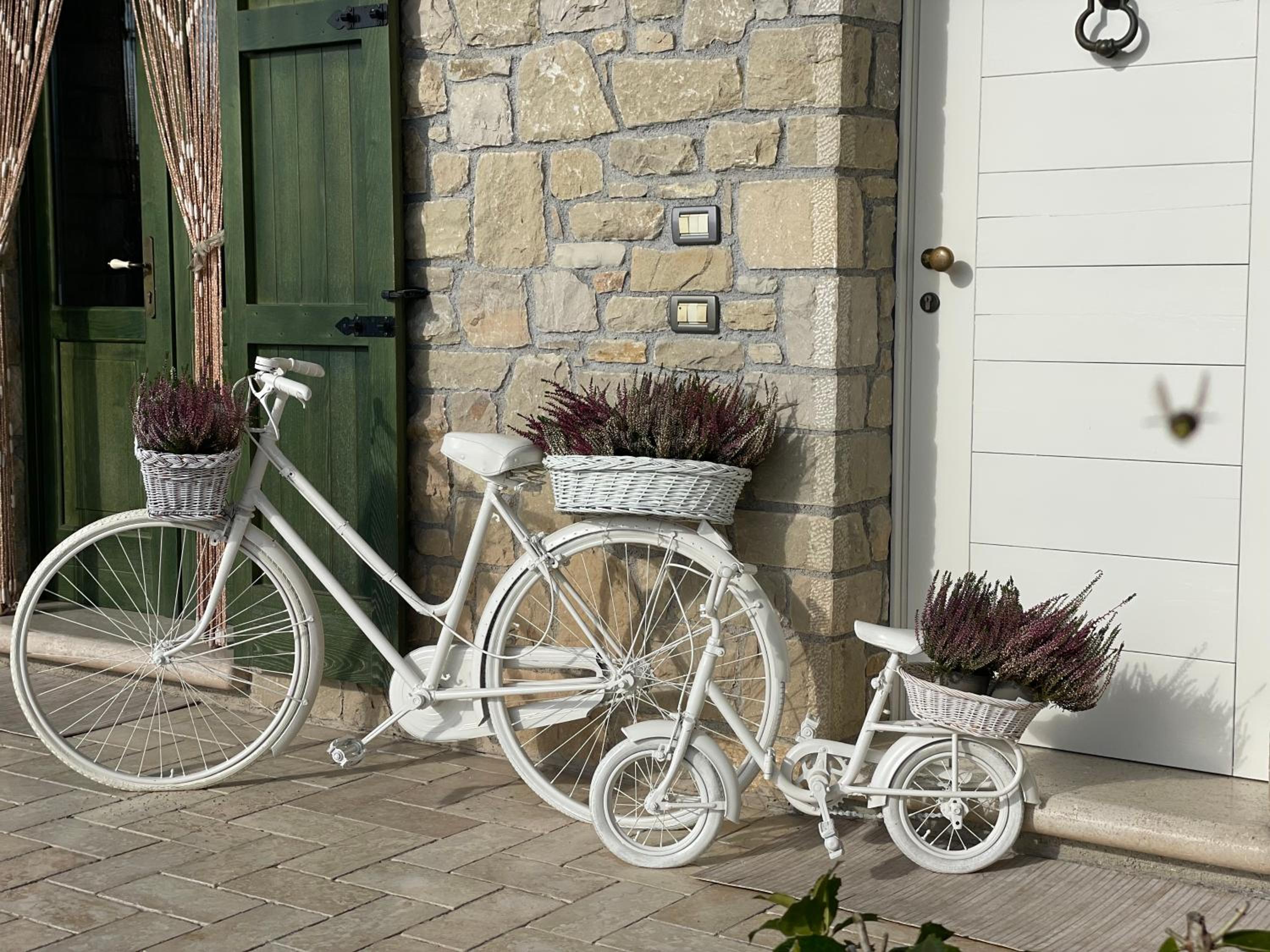 CHALET VELA Natura e Relax