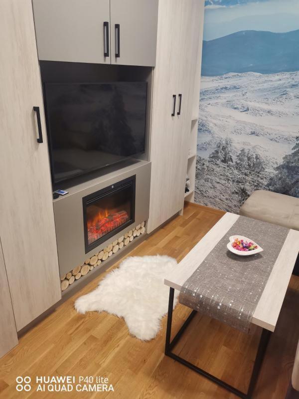 Apartman Ice age Jahorina view 5