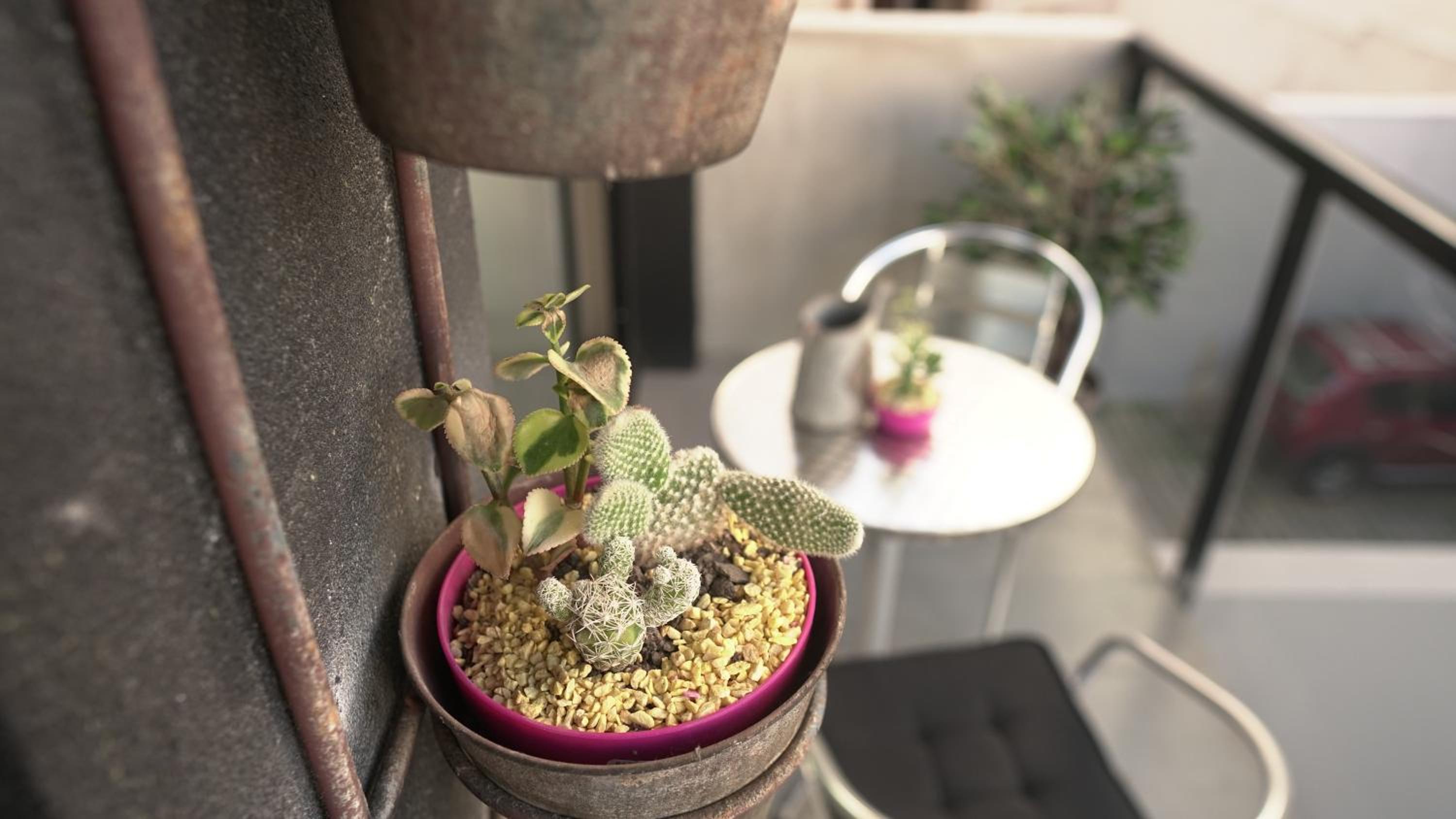 balance & terrace