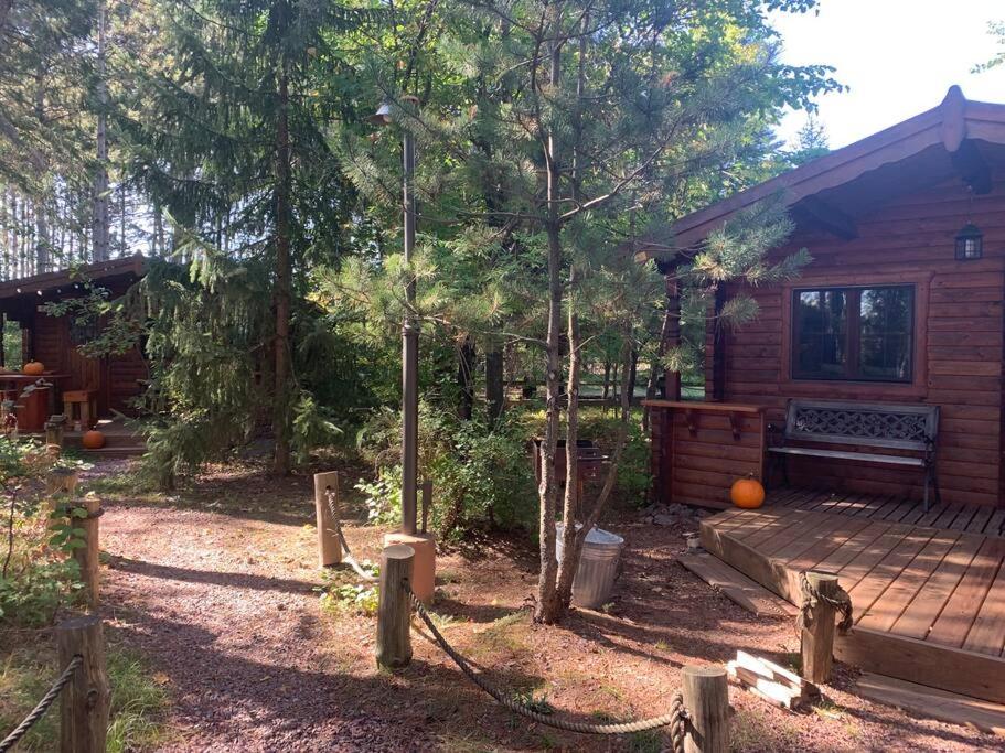 Honeybear Hideaway Cabin view 4