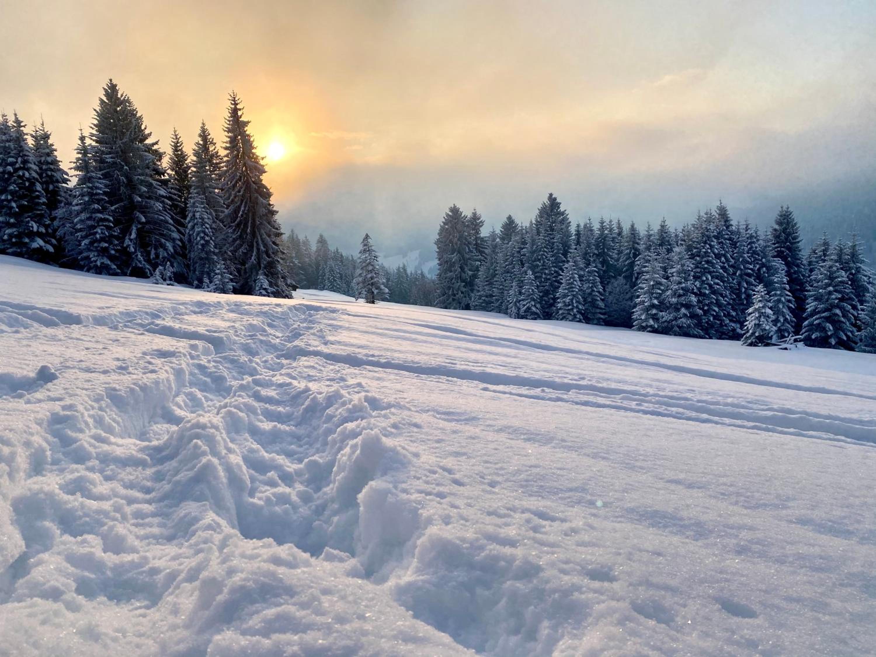 Fewo Längerer view 5