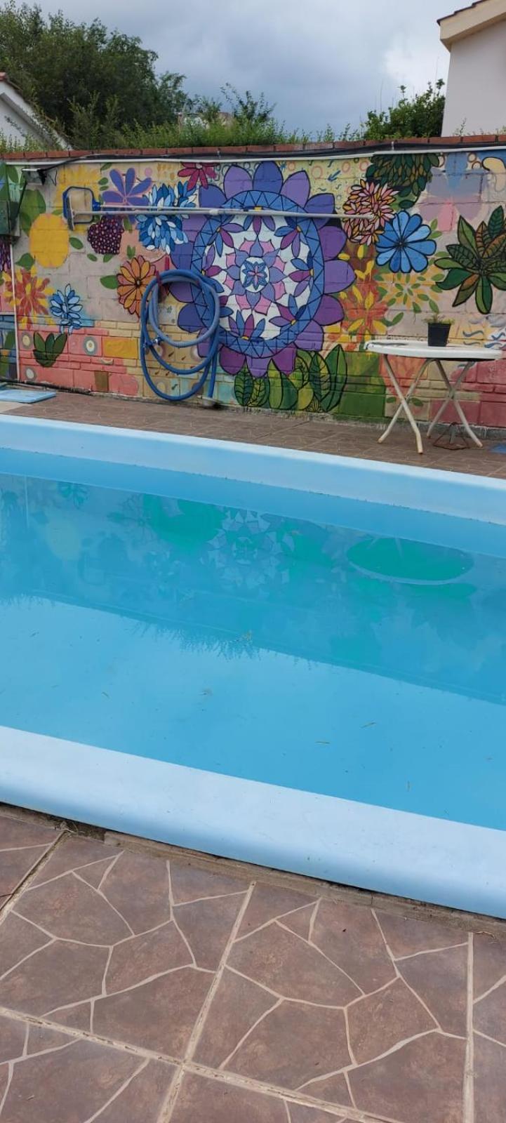 El canto de los pajaros