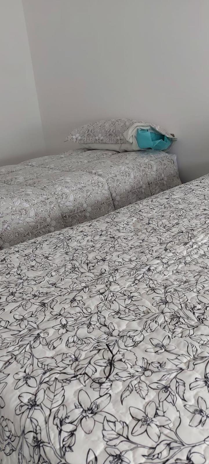 El canto de los pajaros