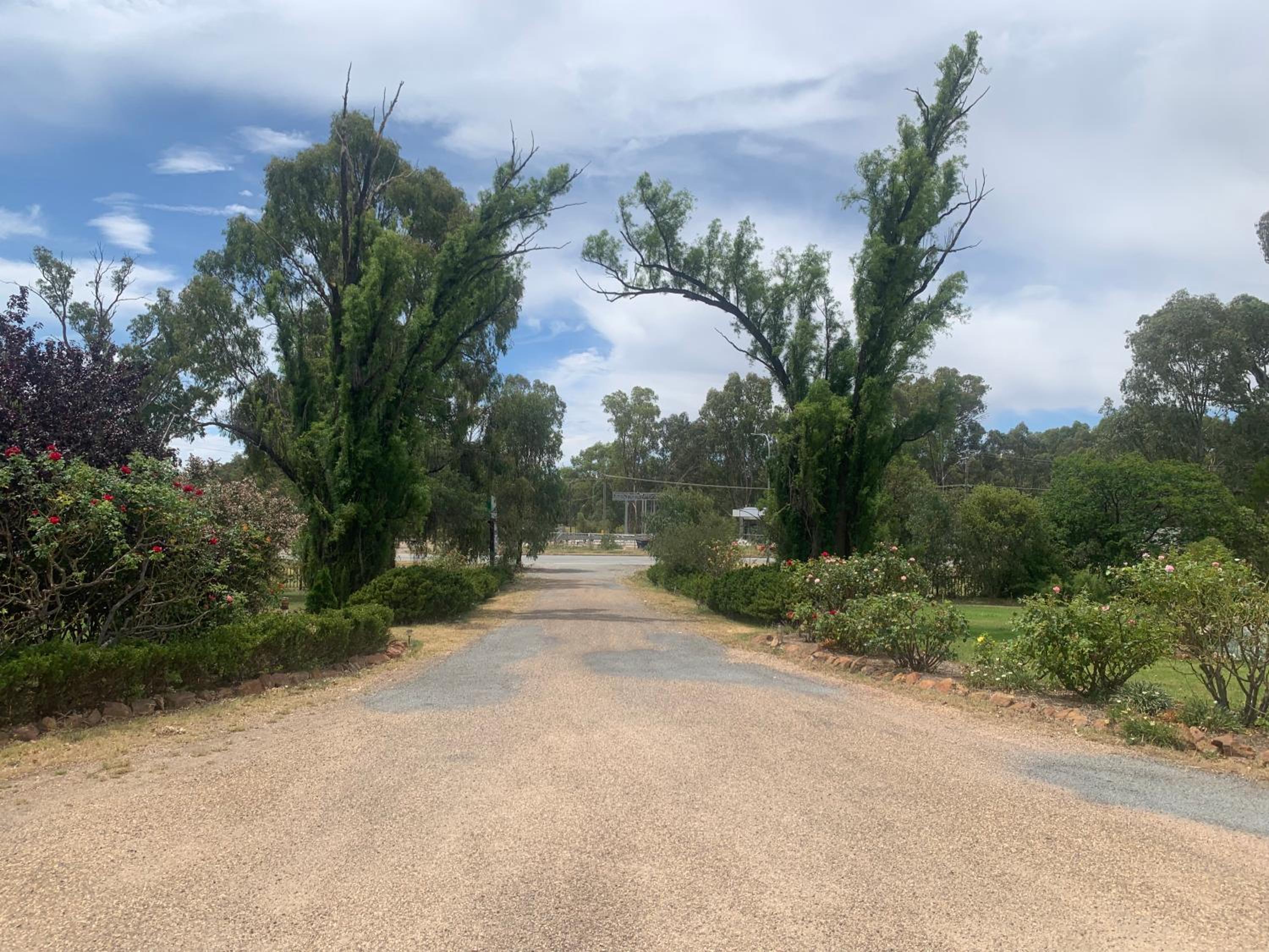 Newell Motor Inn Narrandera