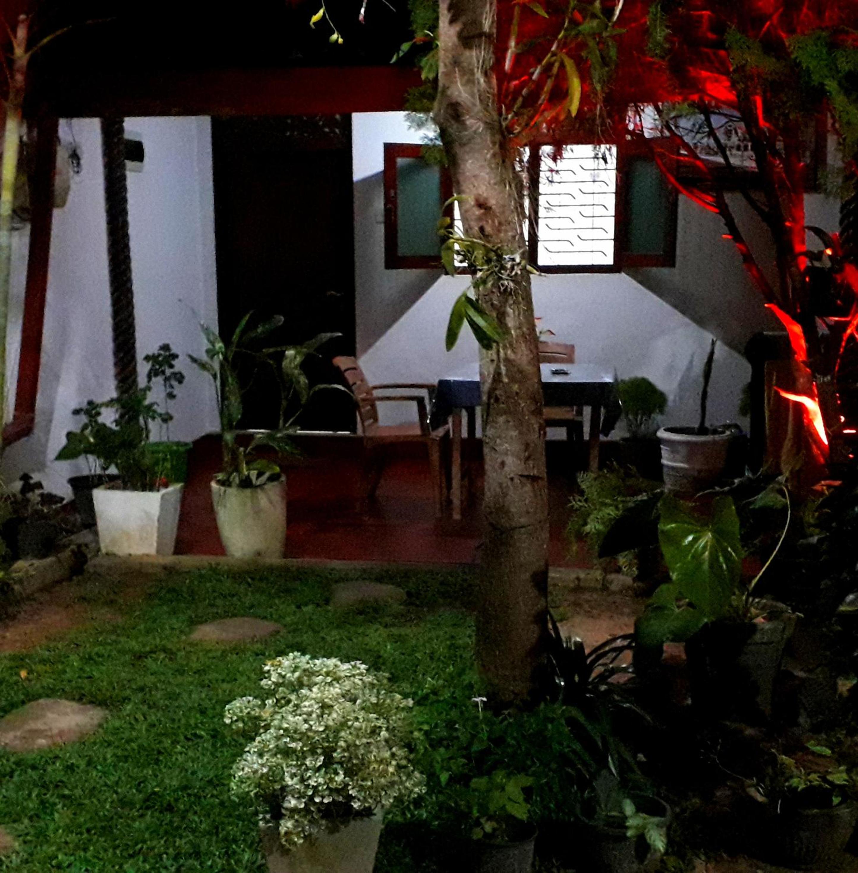 Margosa Guesthouse view 3