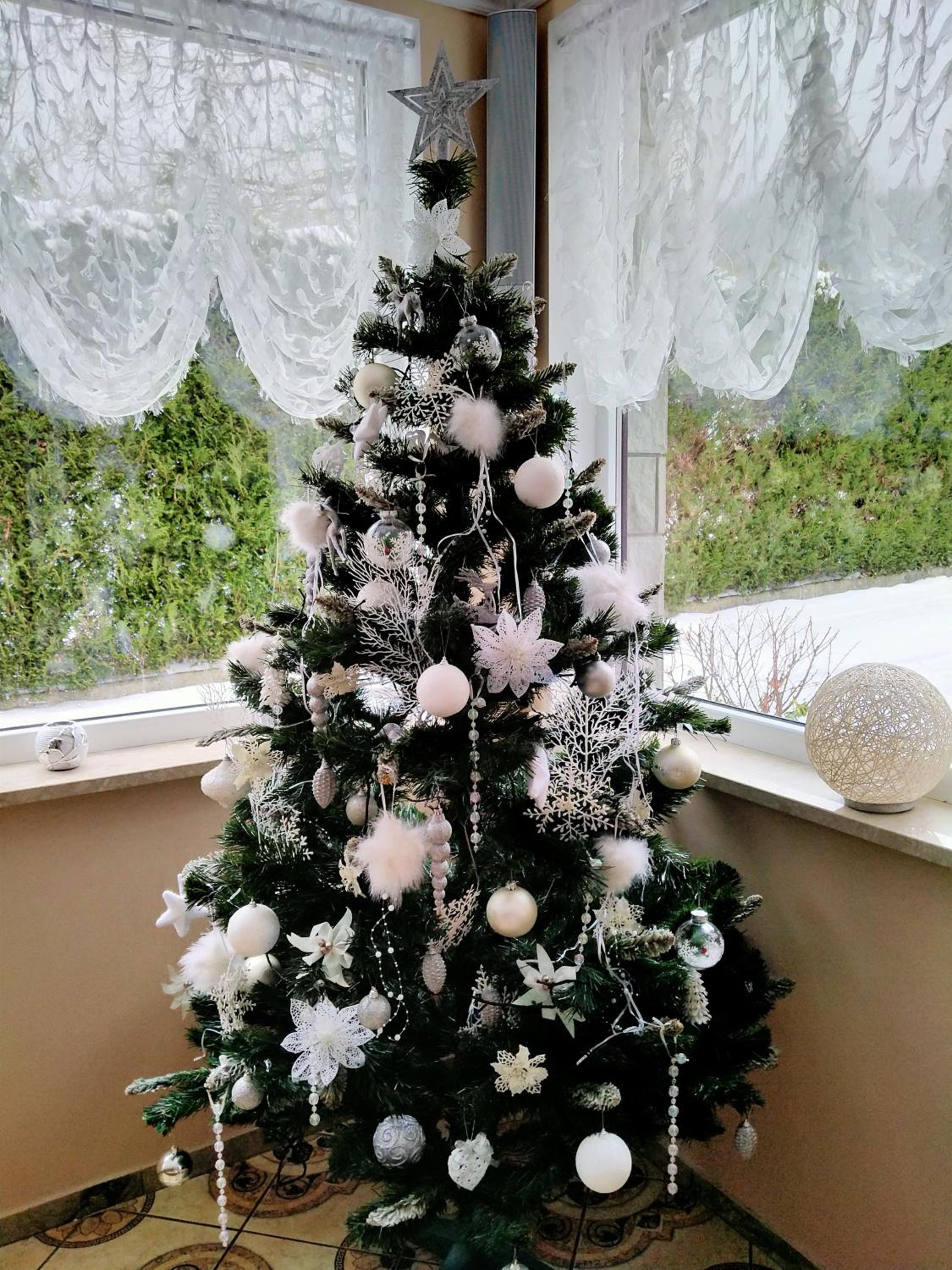 Pokoje Gościnne Perła, photo 51