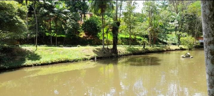 Sitio Camundongo