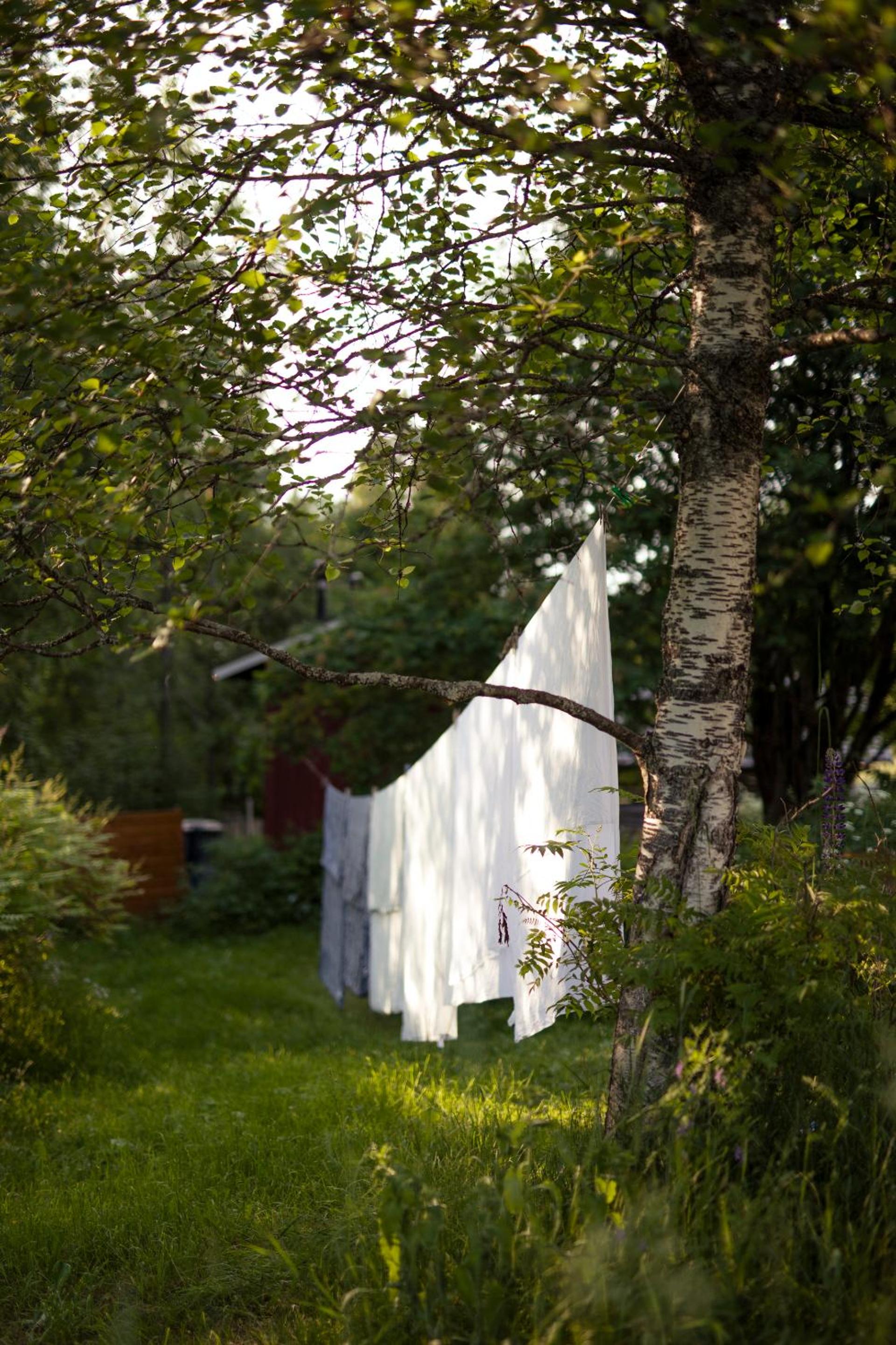 Kolin Mattila B&B view 2