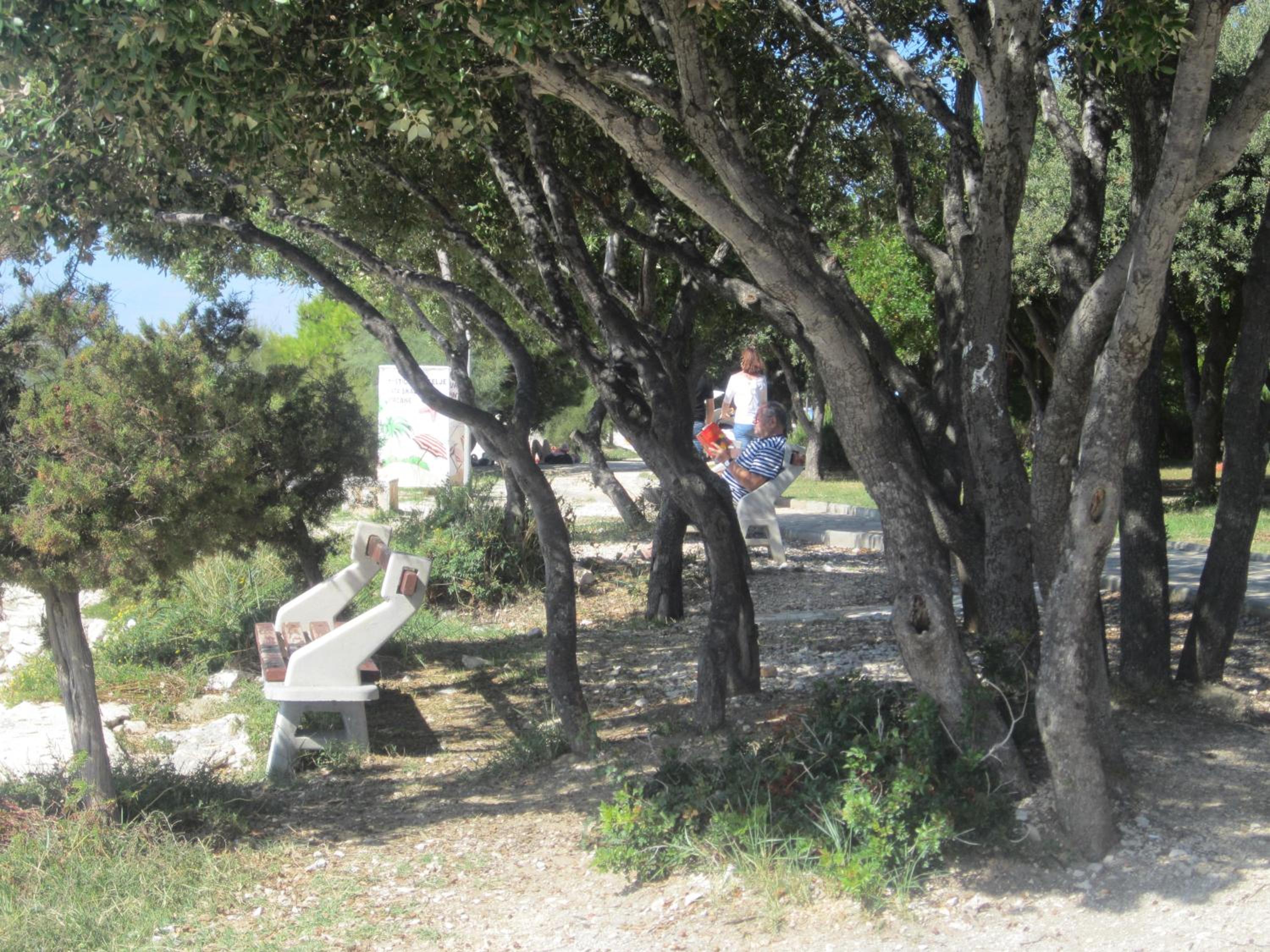 Photo 13