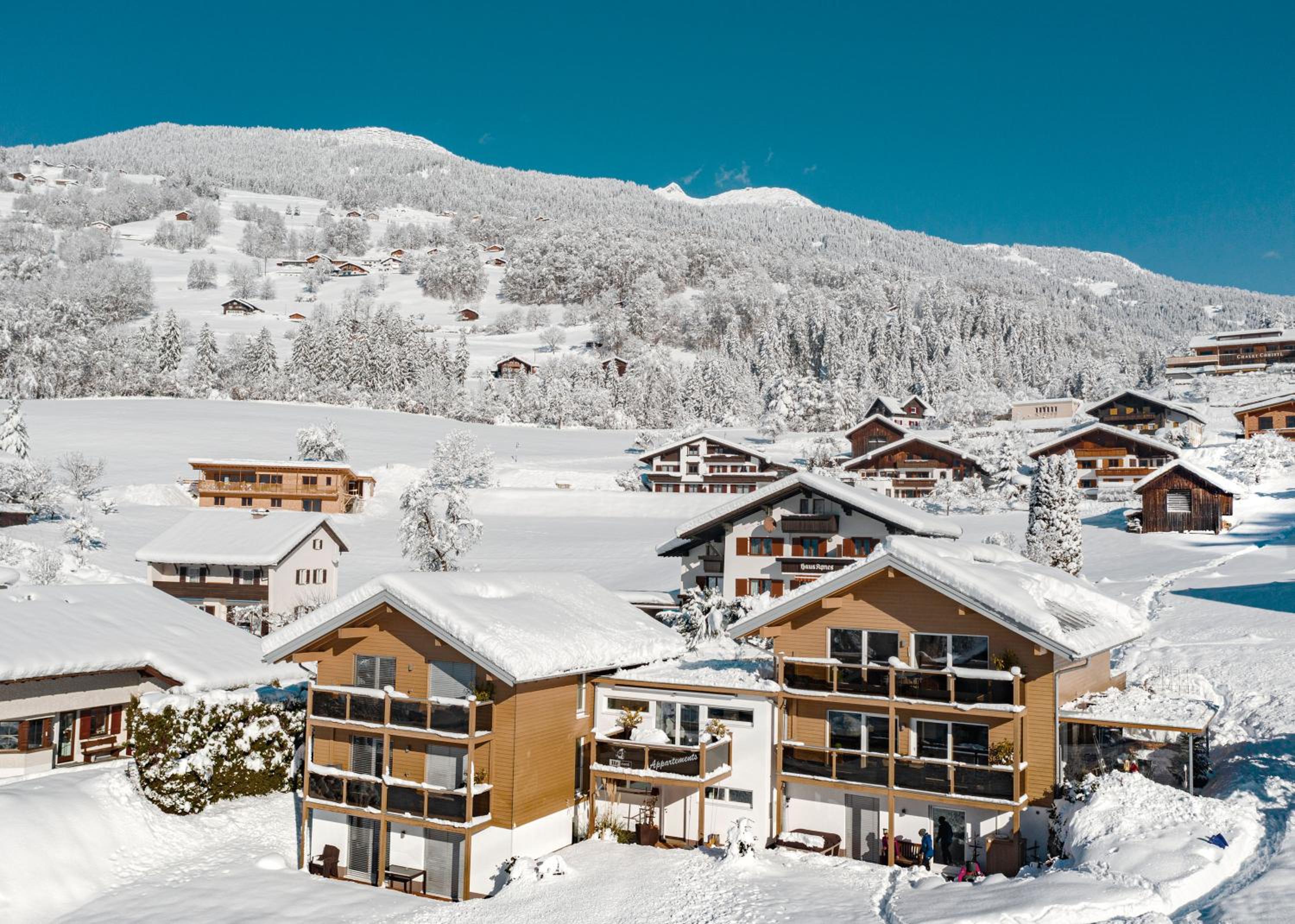 Appartments Urmonti view 4