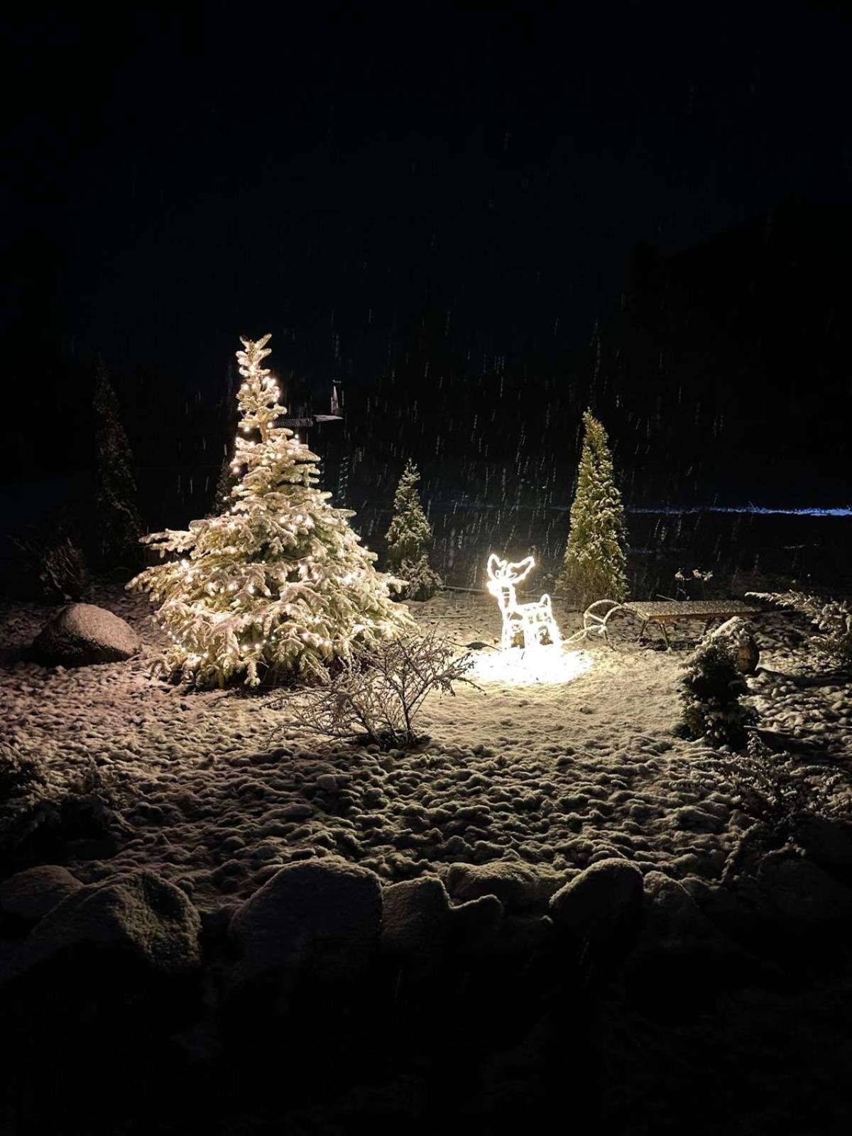 Holiday home Usadba Novoselitsa view 2