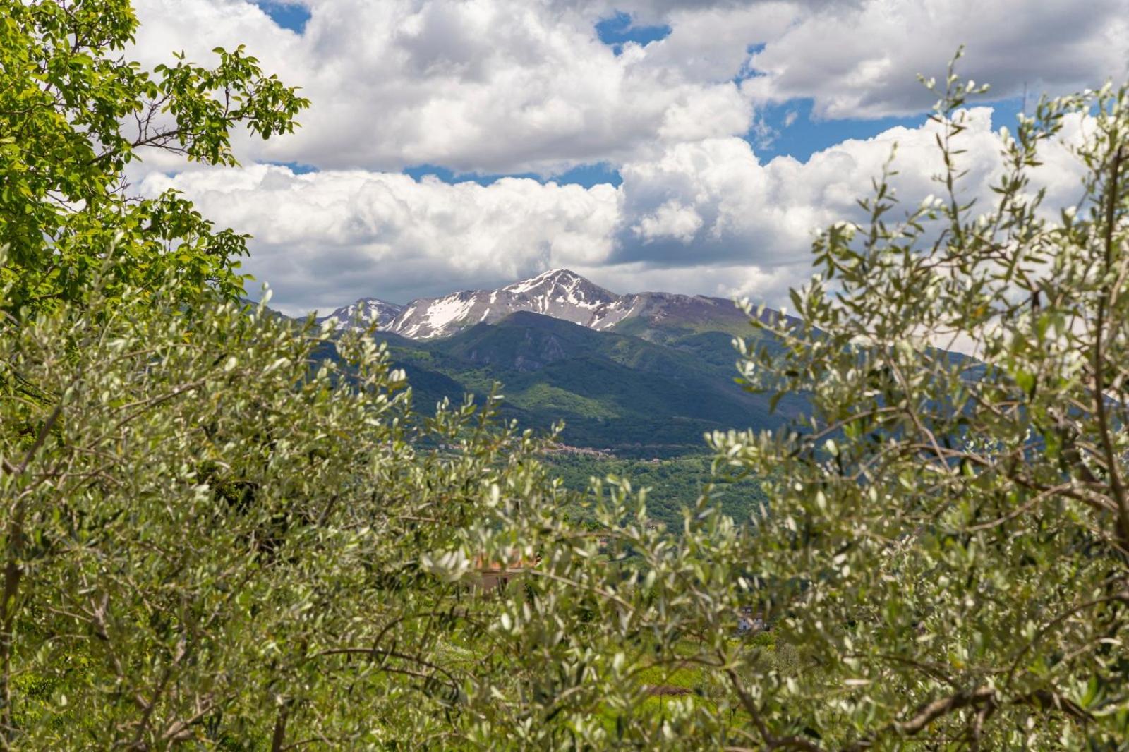 Tenuta Del Daino view 5