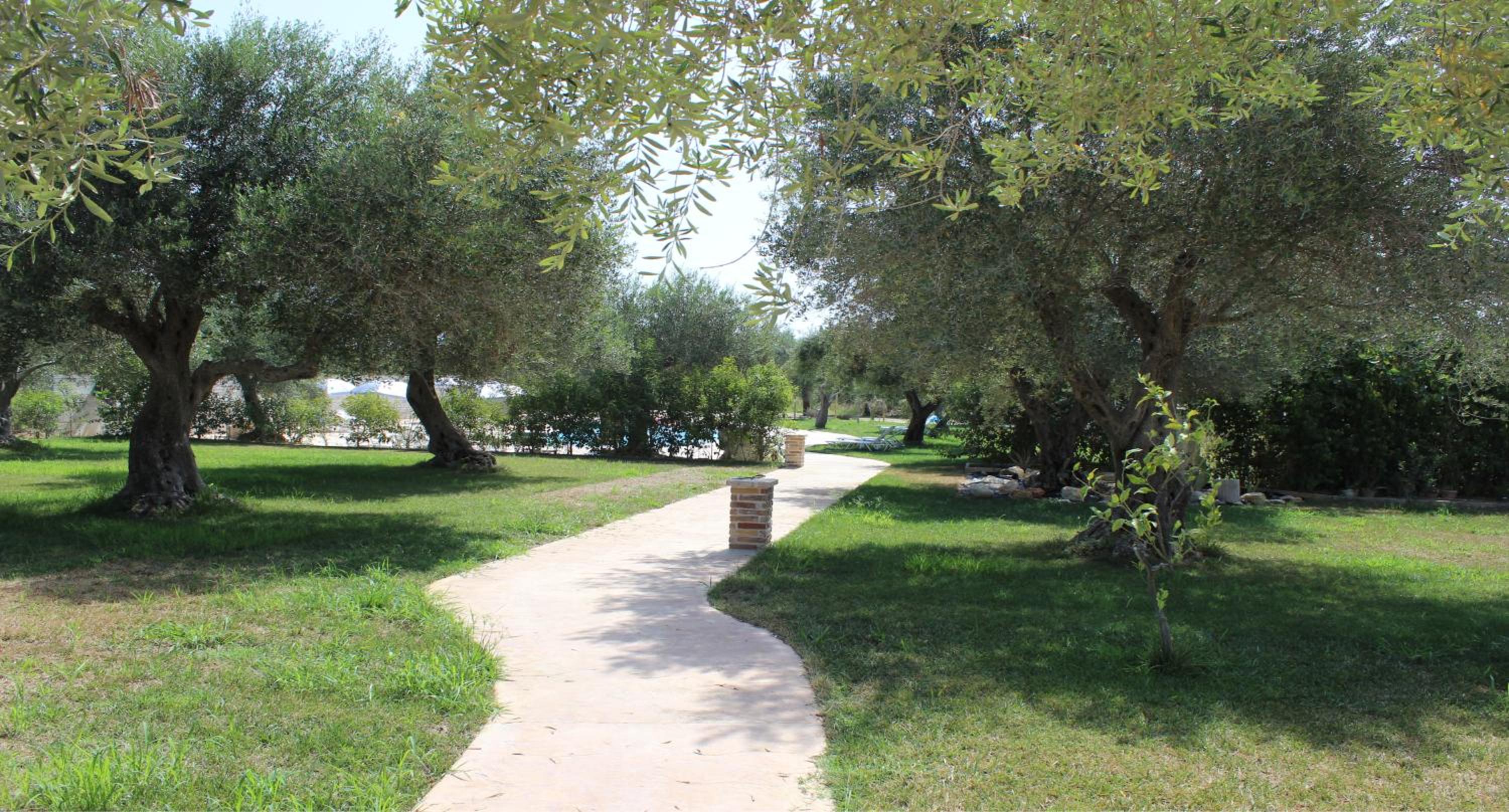 ANEMOMYLOS Lefkimmi LUXUS SUITES-BOUTIQUE HOTEL & POOL, photo 50