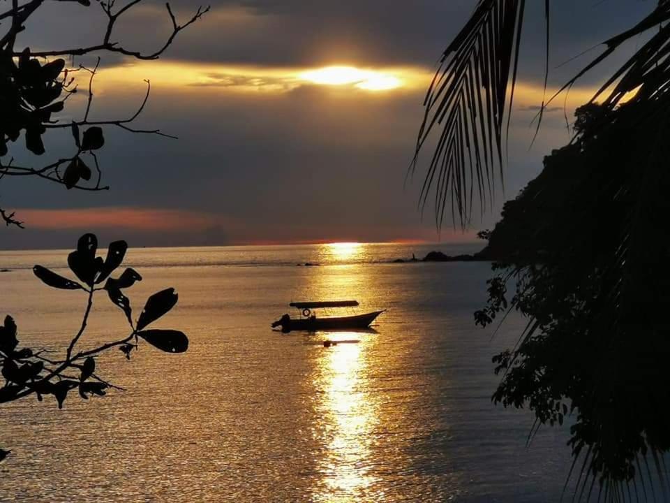 Photo 111