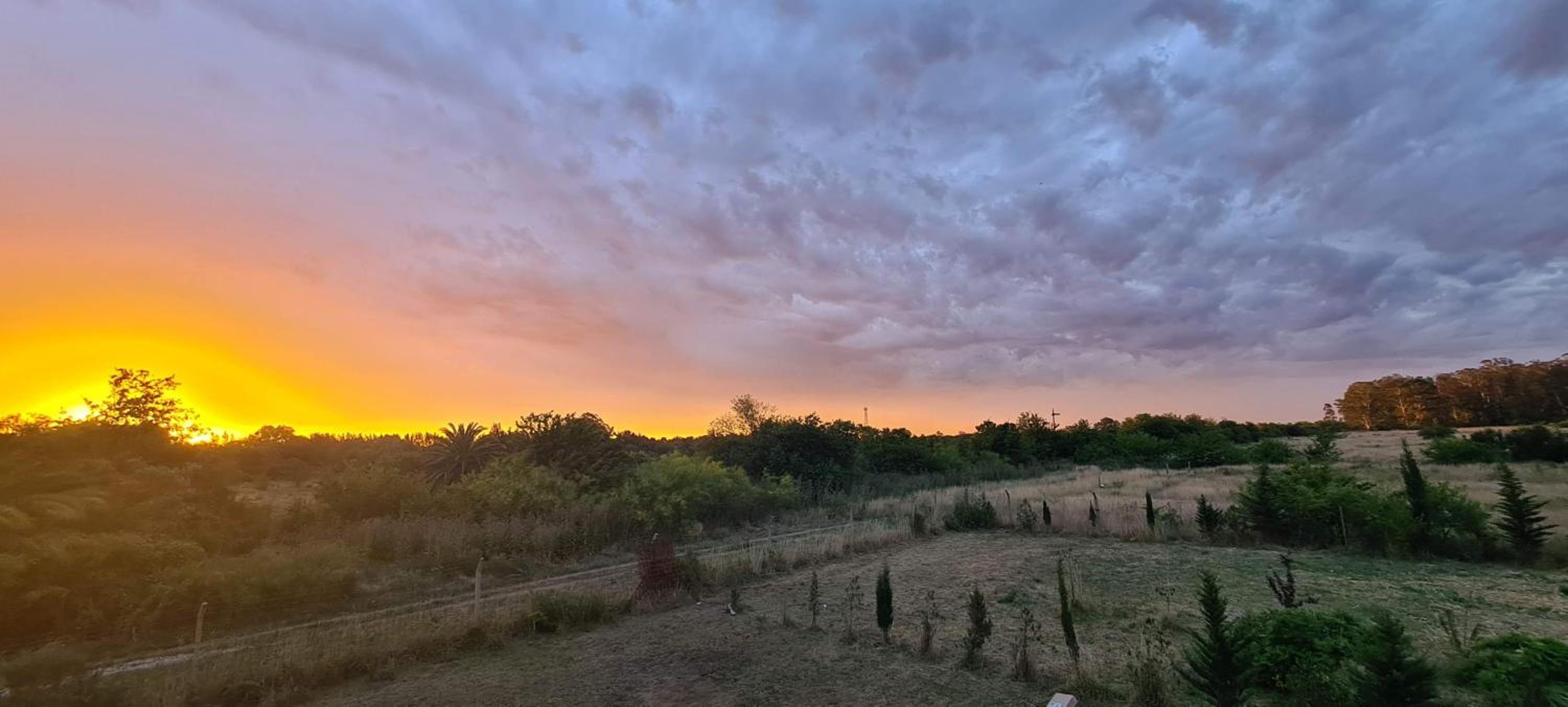 Mira Pampas Chascomús