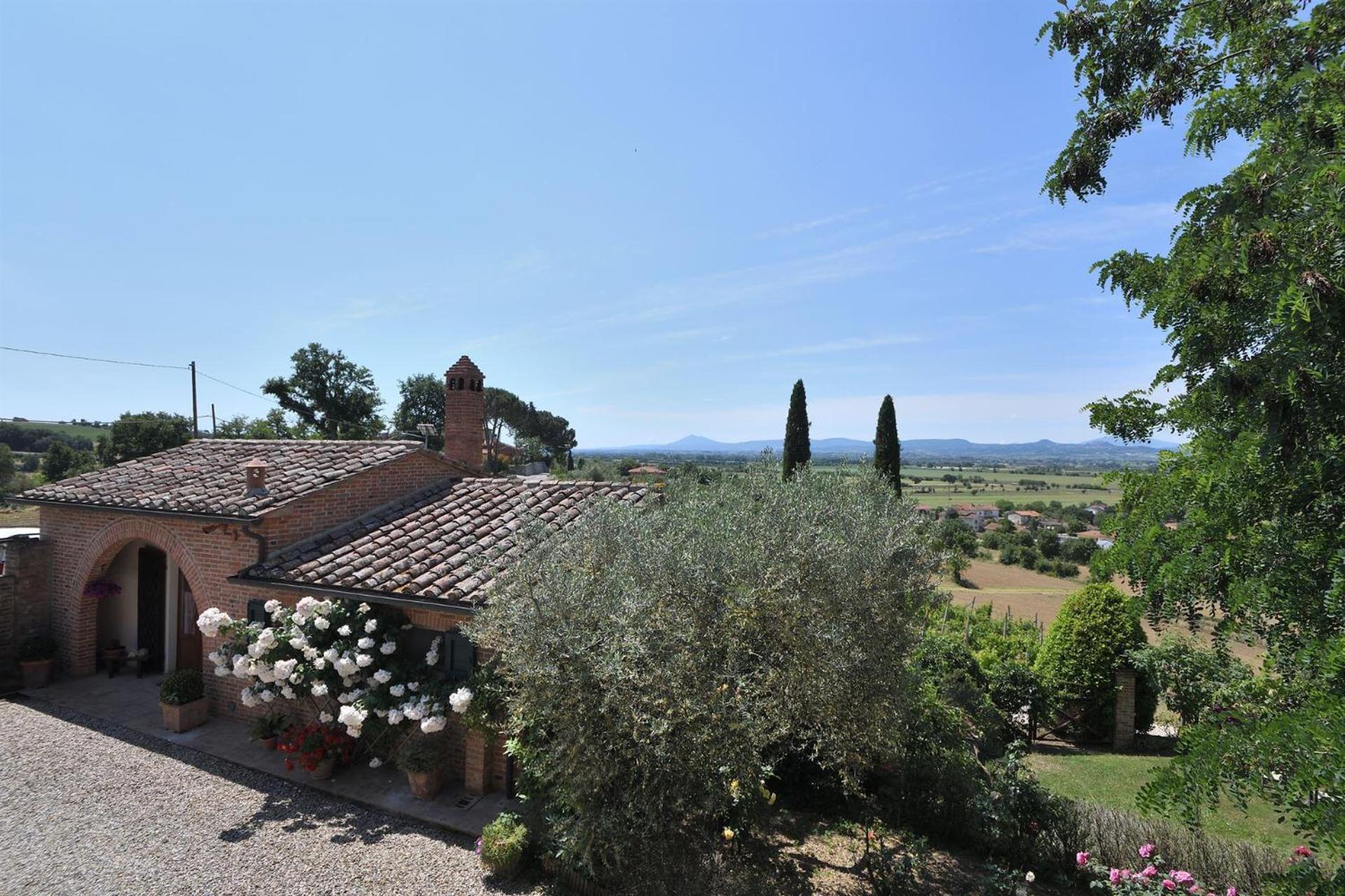 Il Rattoppo view 5