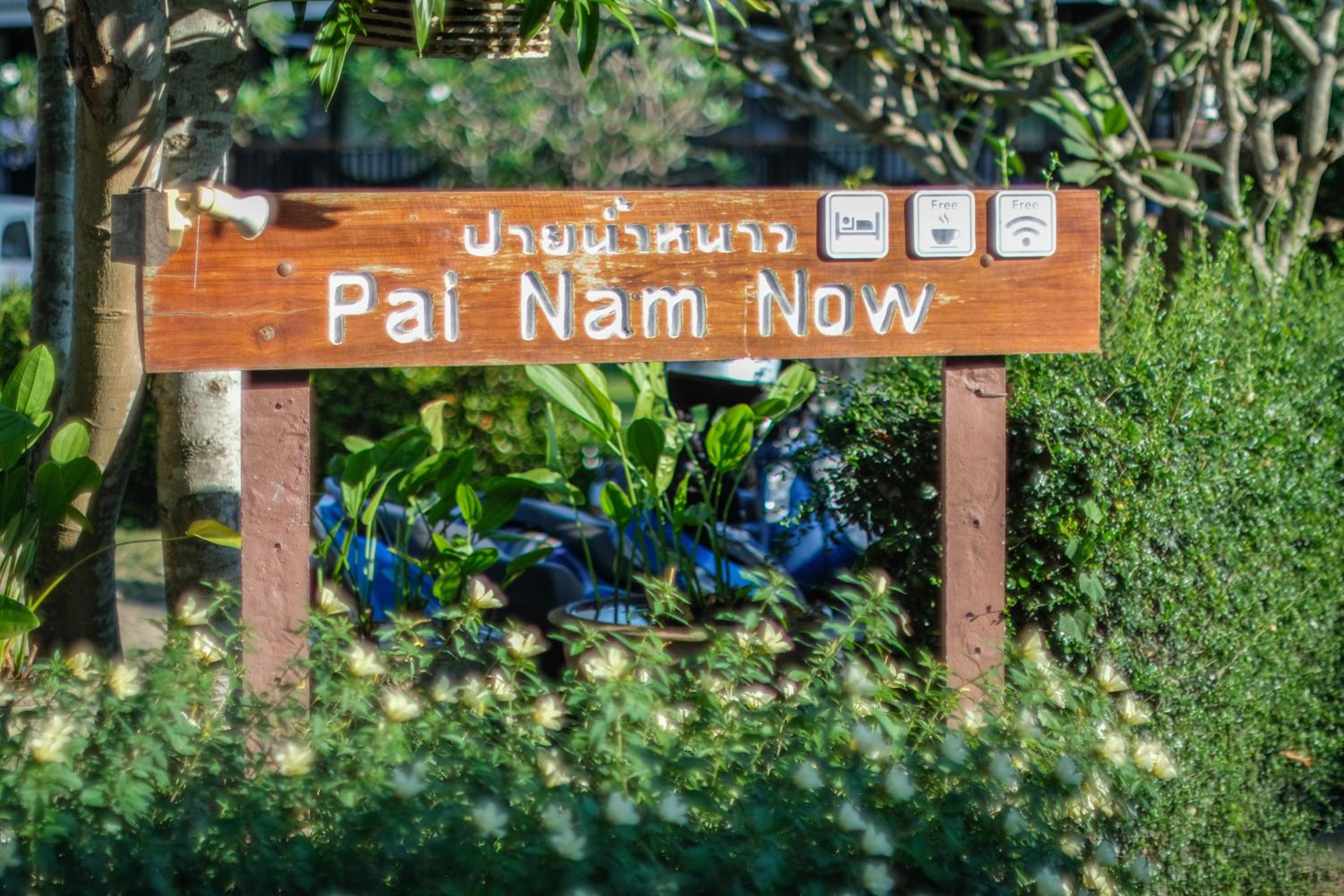 Pai Nam Now
