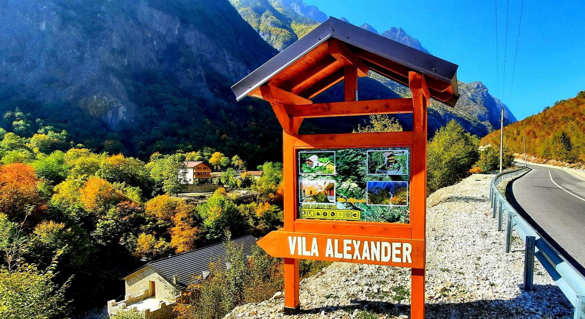 Vila Alexander B&B